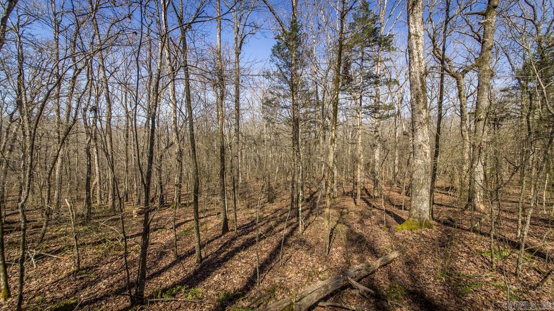 0 Whipporwill  Choctaw, AR