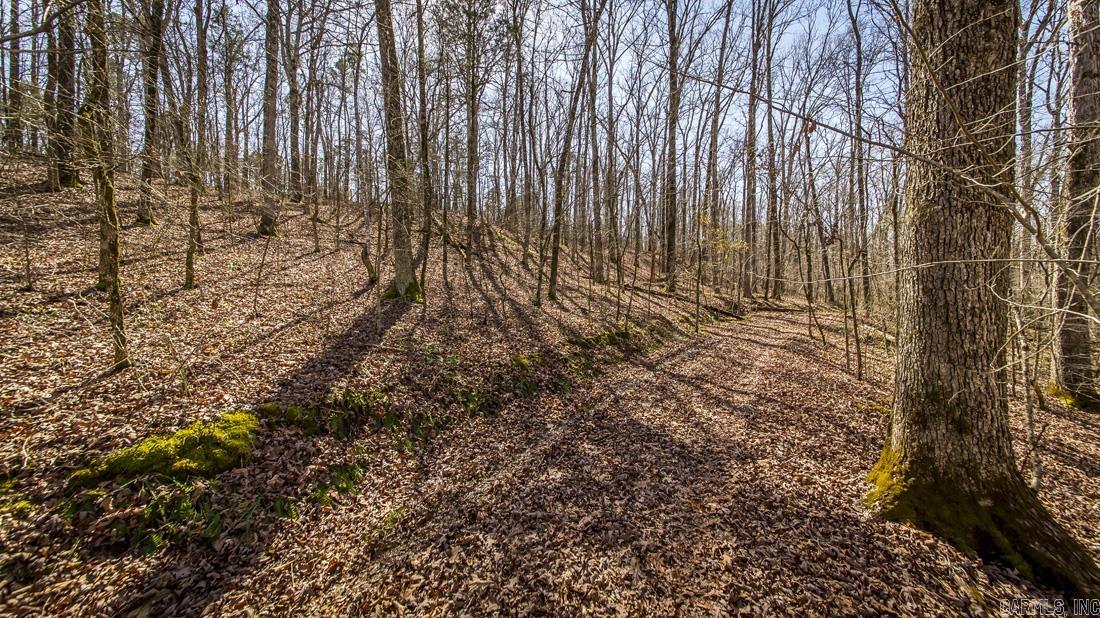 0 Whipporwill  Choctaw, AR