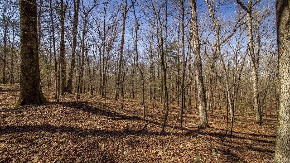 0 Whipporwill  Choctaw, AR