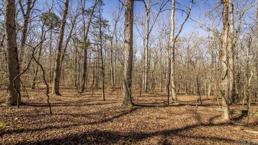 0 Whipporwill  Choctaw, AR