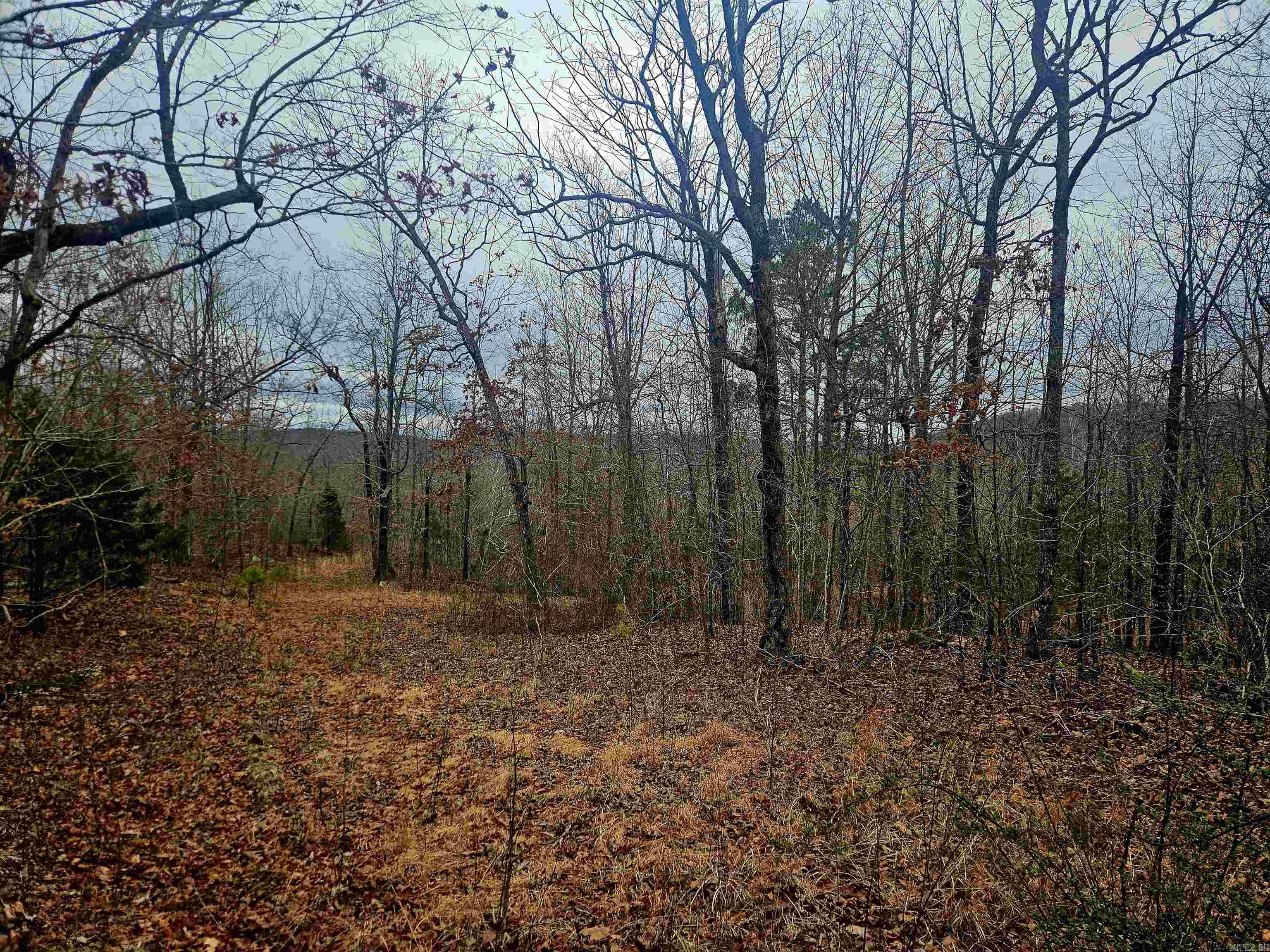 2726 Little Red River  Marshall, AR