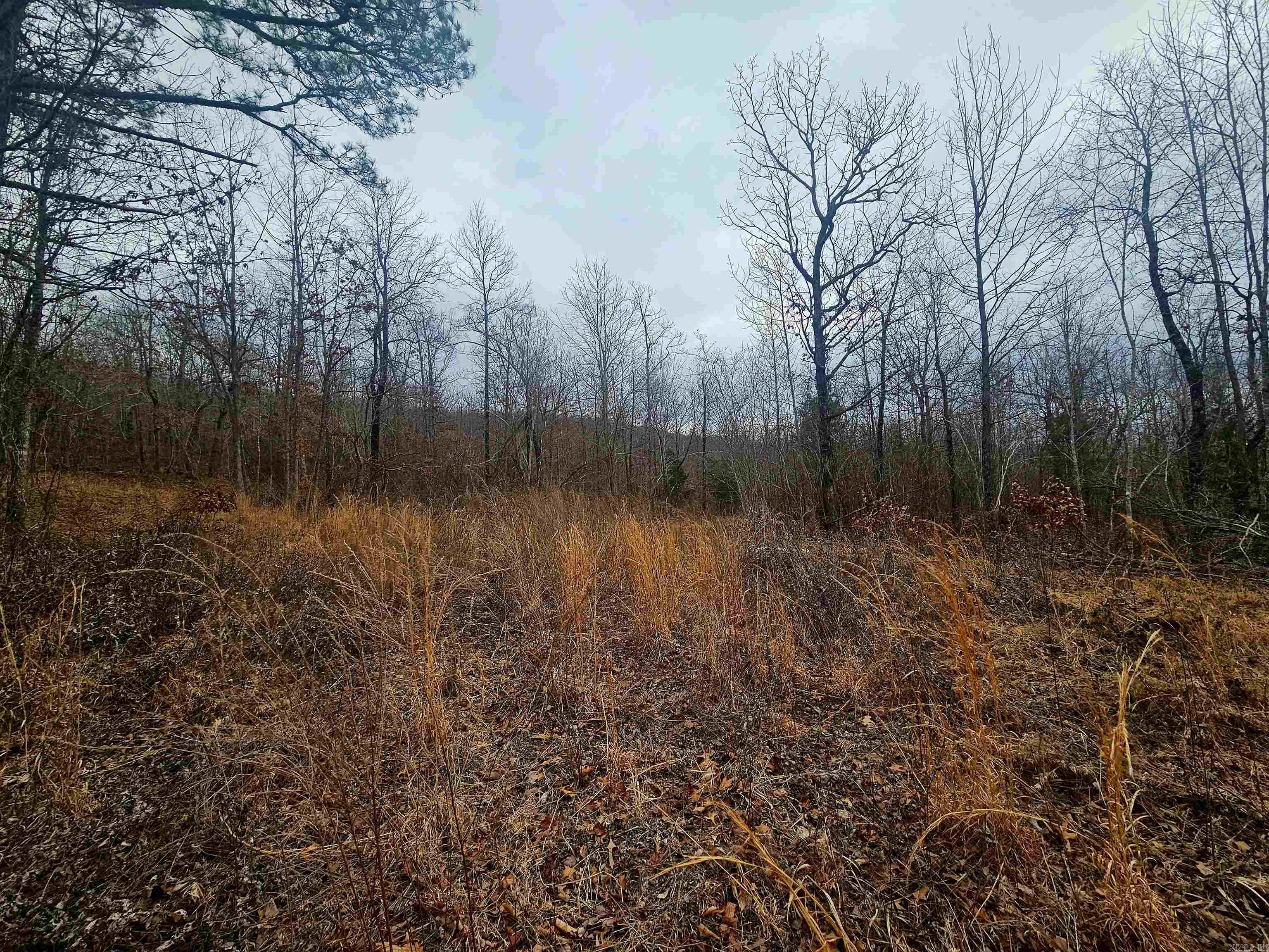 2726 Little Red River  Marshall, AR