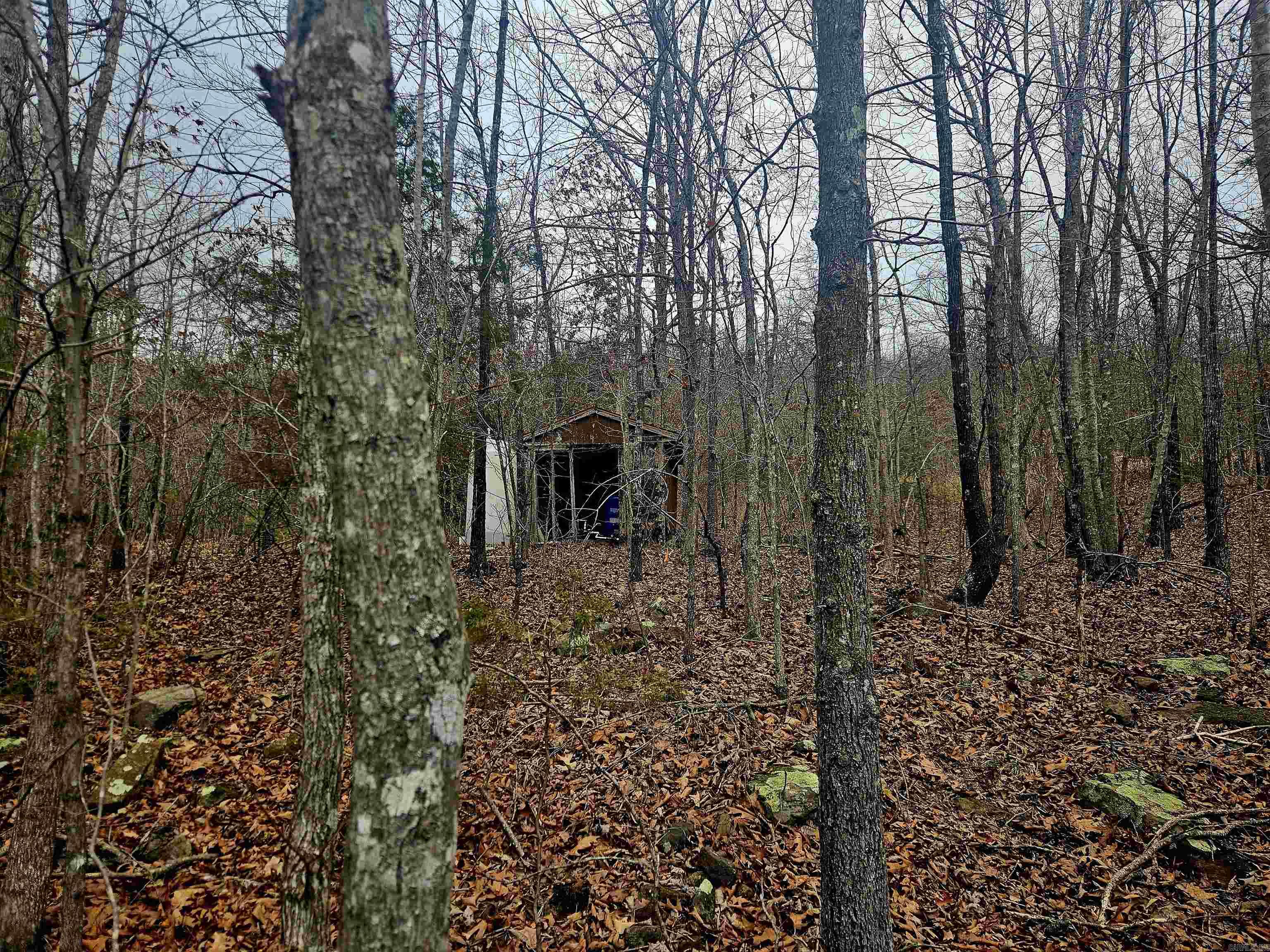 2726 Little Red River  Marshall, AR