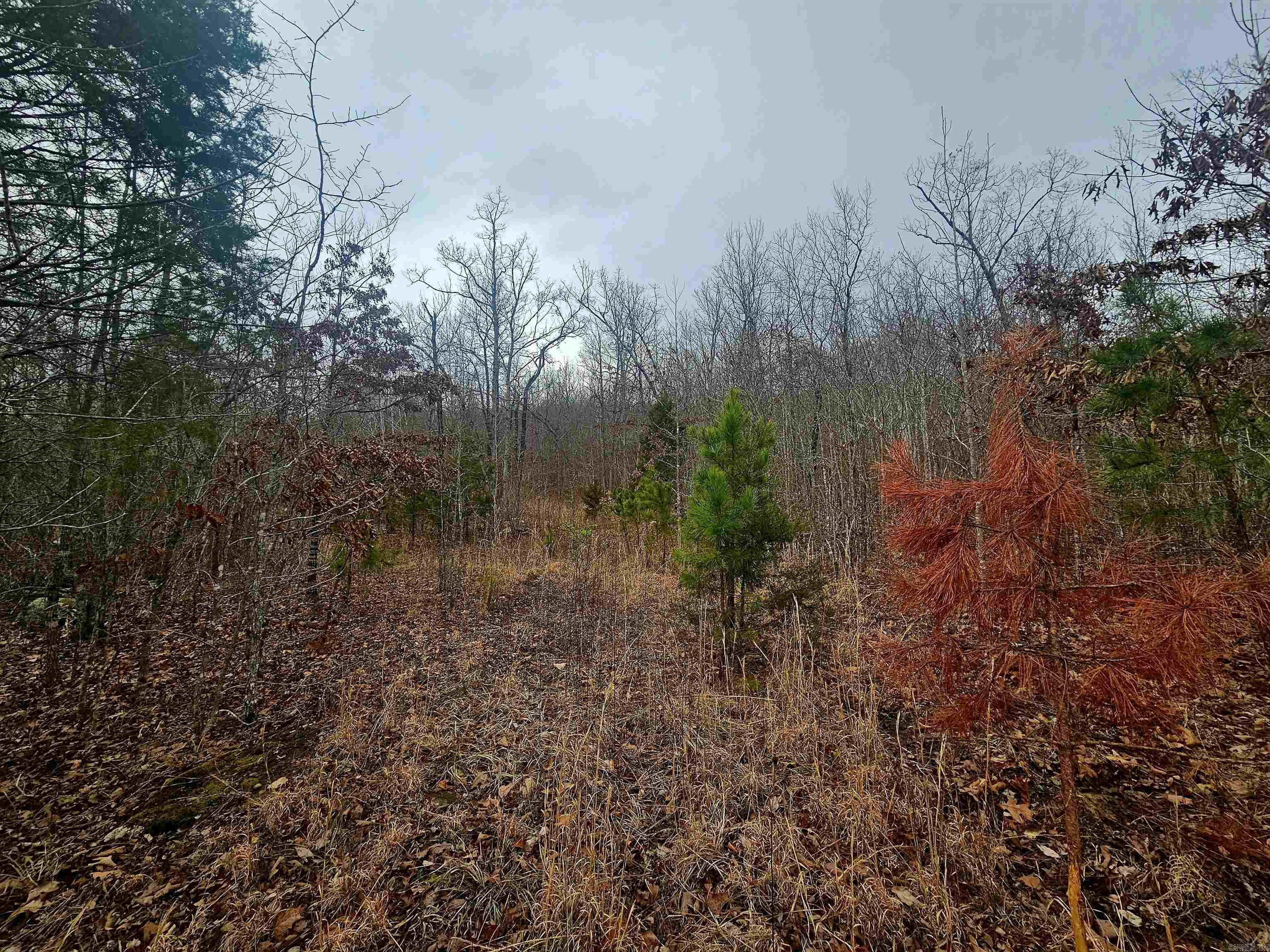 2726 Little Red River  Marshall, AR