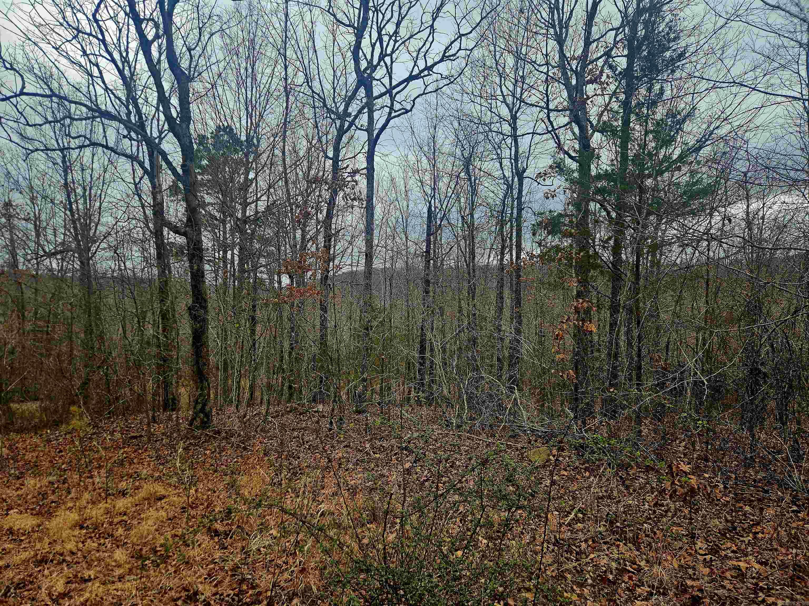 2726 Little Red River  Marshall, AR