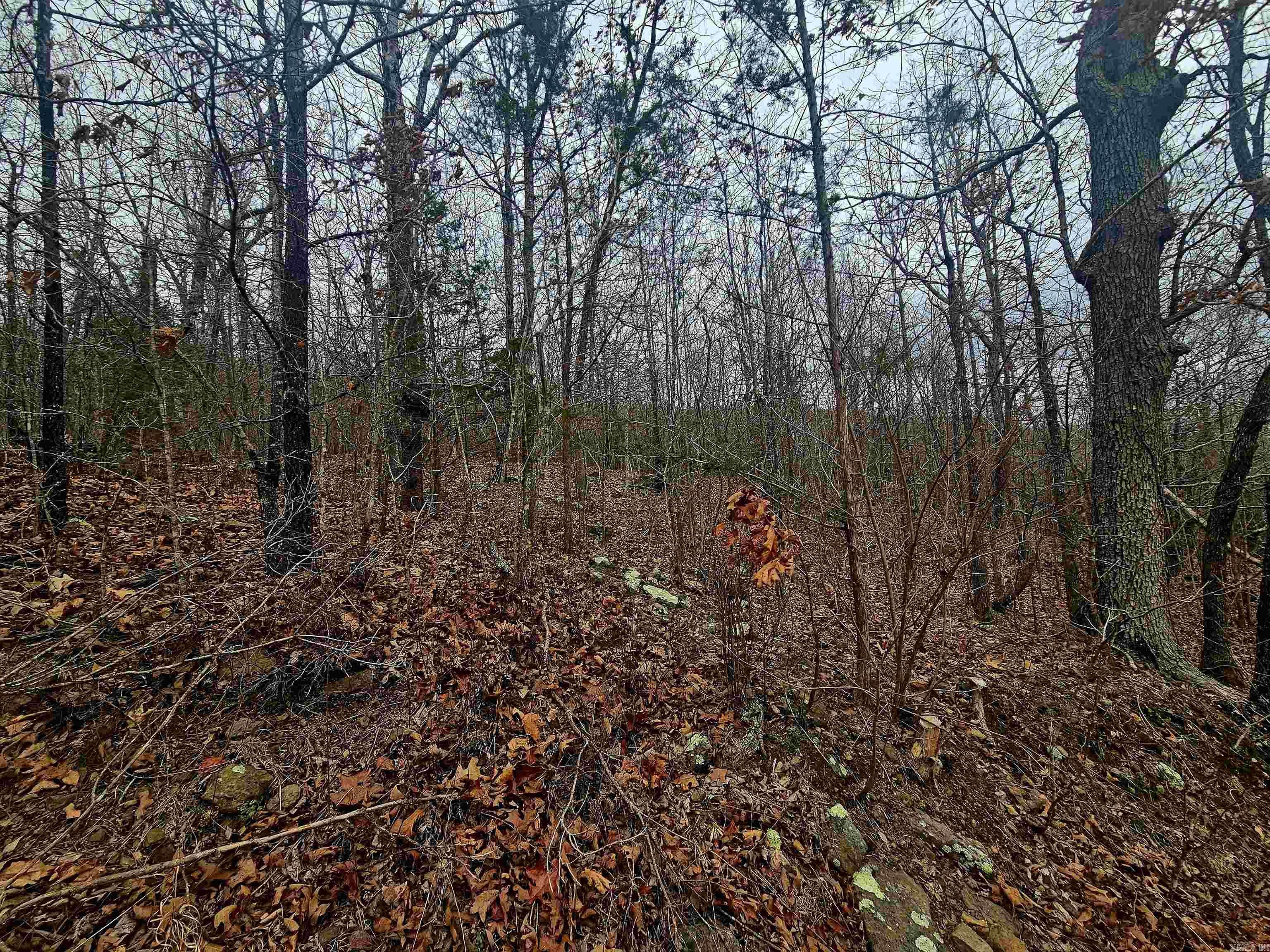 2726 Little Red River  Marshall, AR