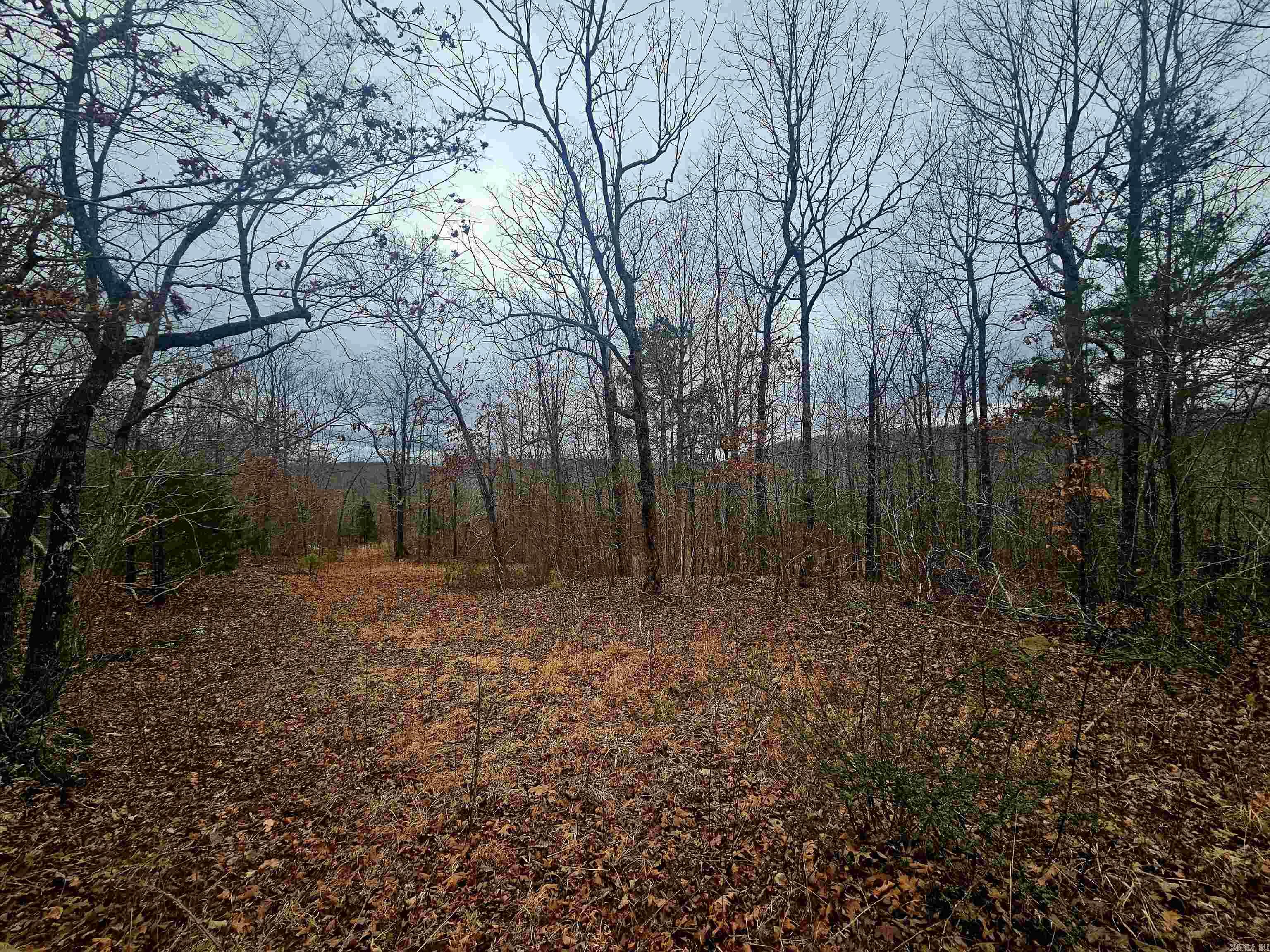 2726 Little Red River  Marshall, AR