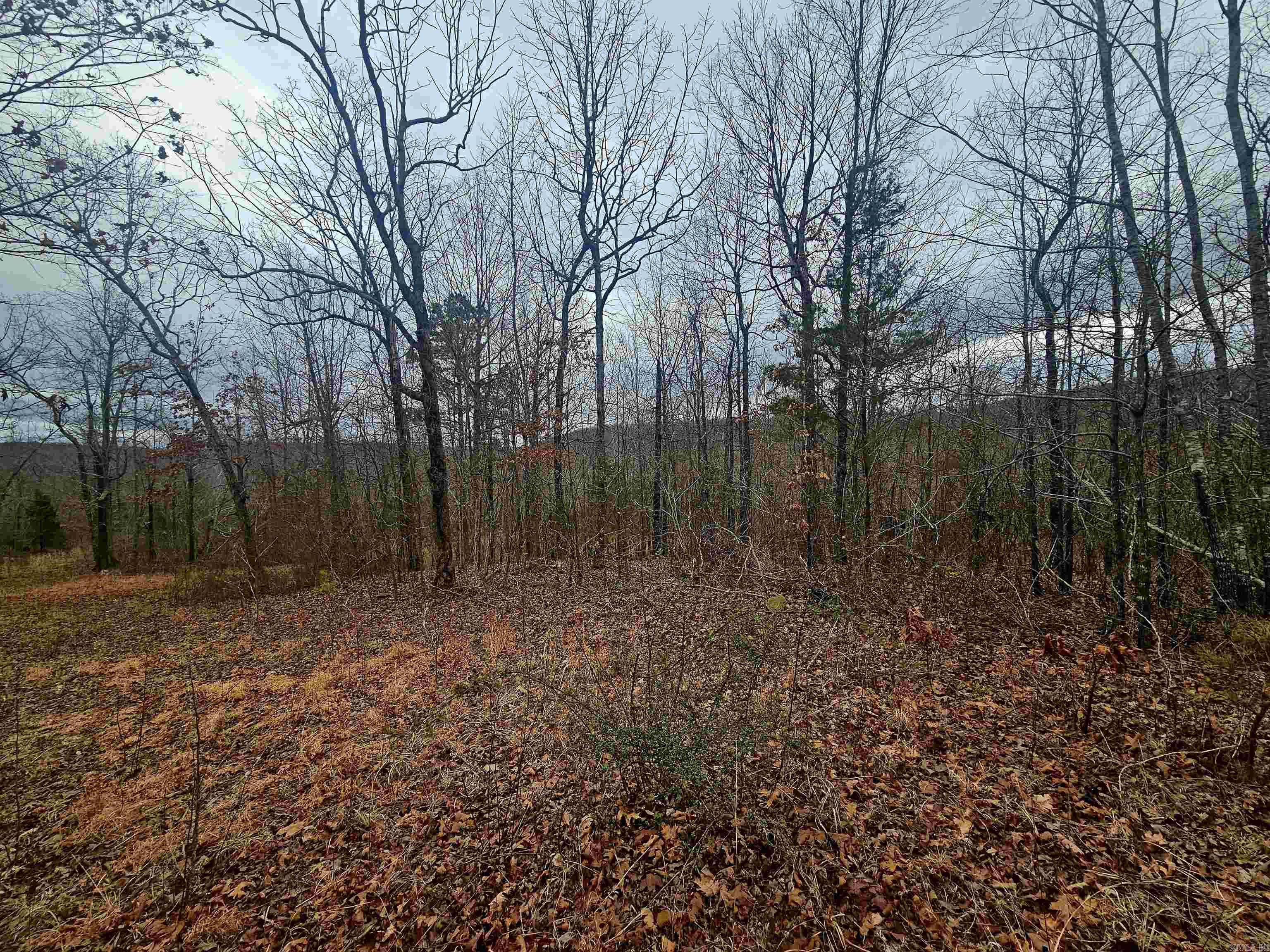 2726 Little Red River  Marshall, AR