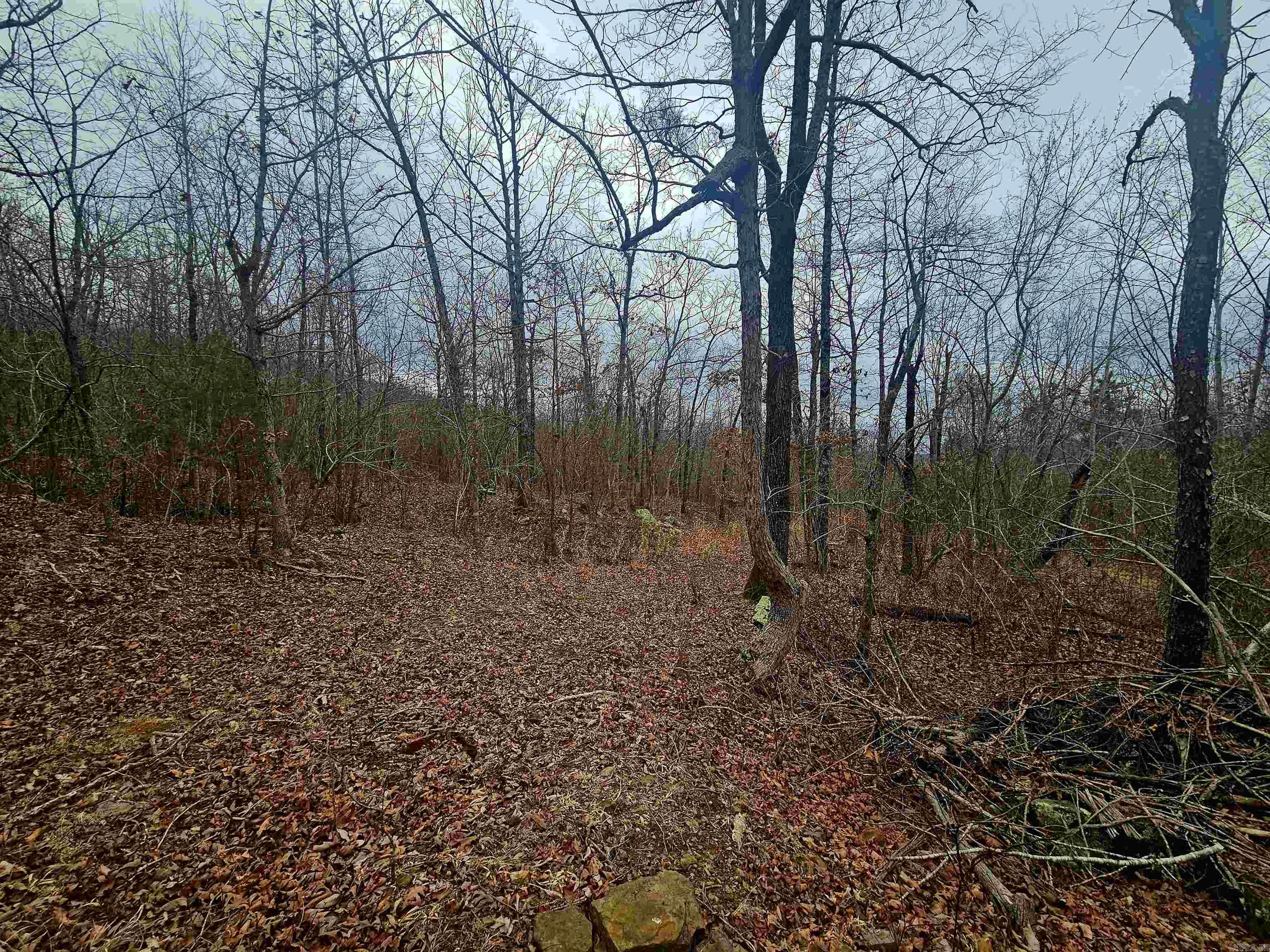 2726 Little Red River  Marshall, AR