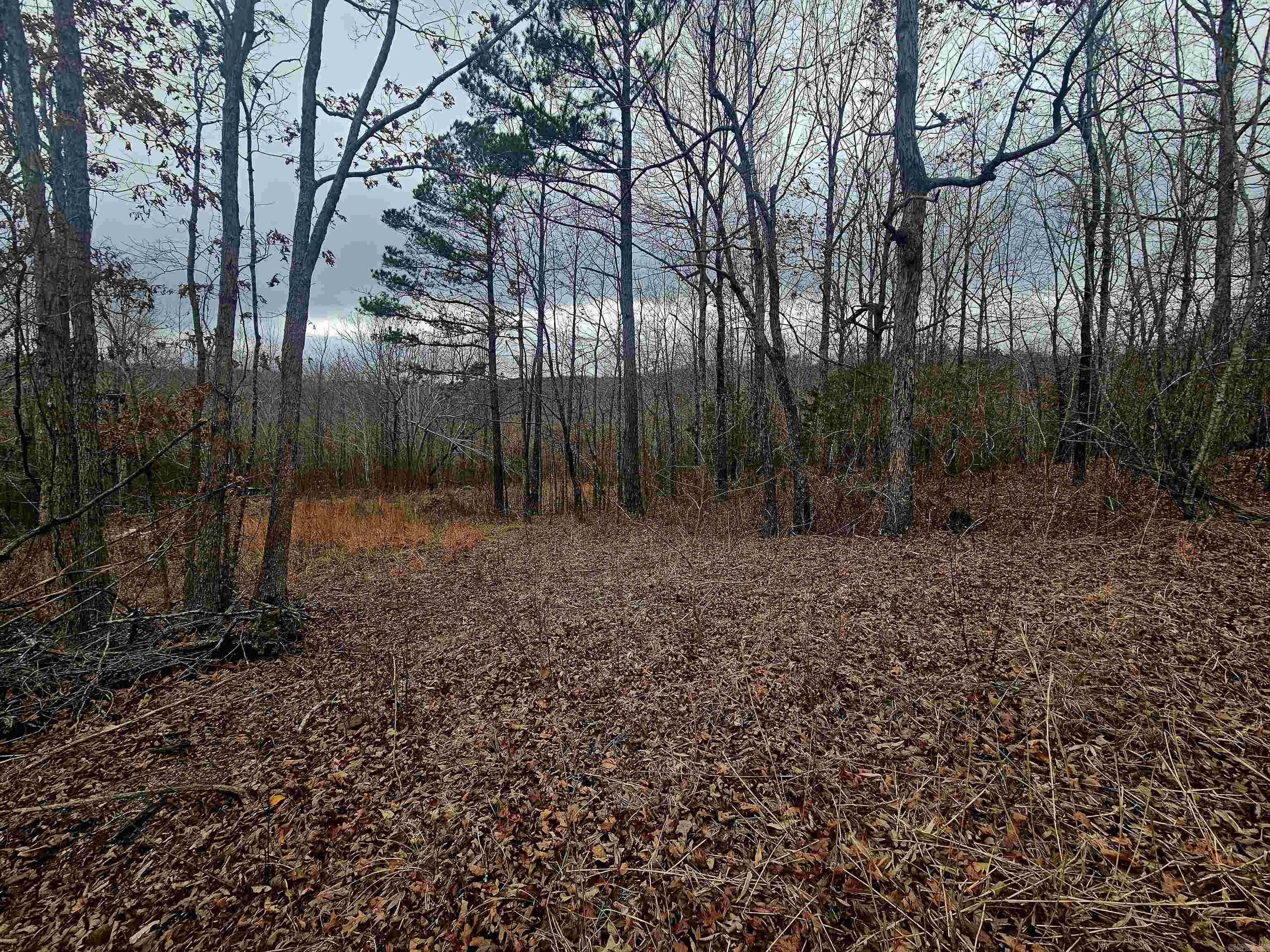 2726 Little Red River  Marshall, AR