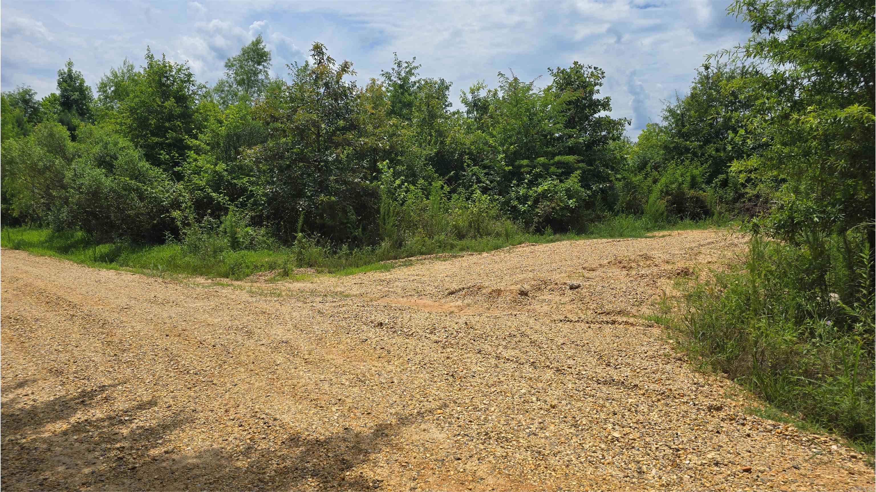 159 Ellison  Rison, AR