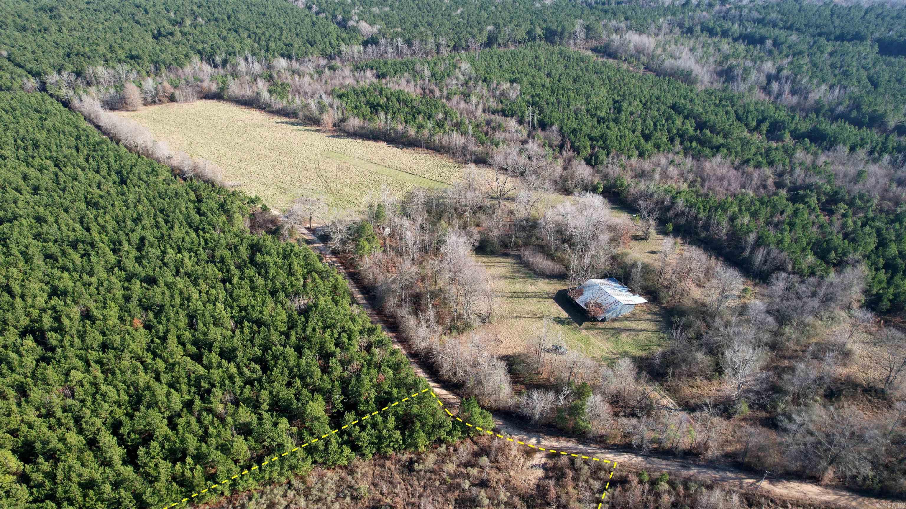 159 Ellison  Rison, AR