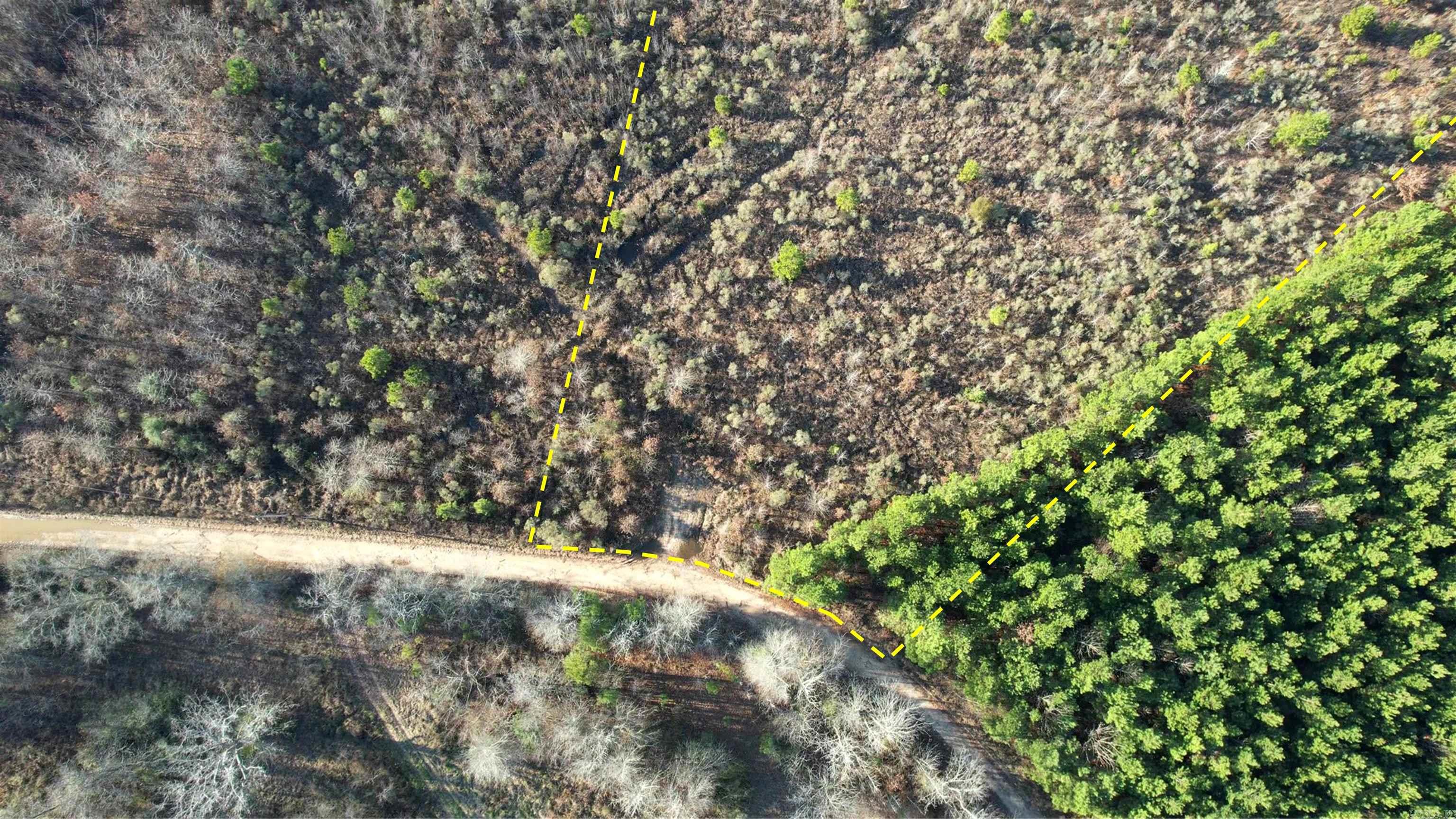 159 Ellison  Rison, AR