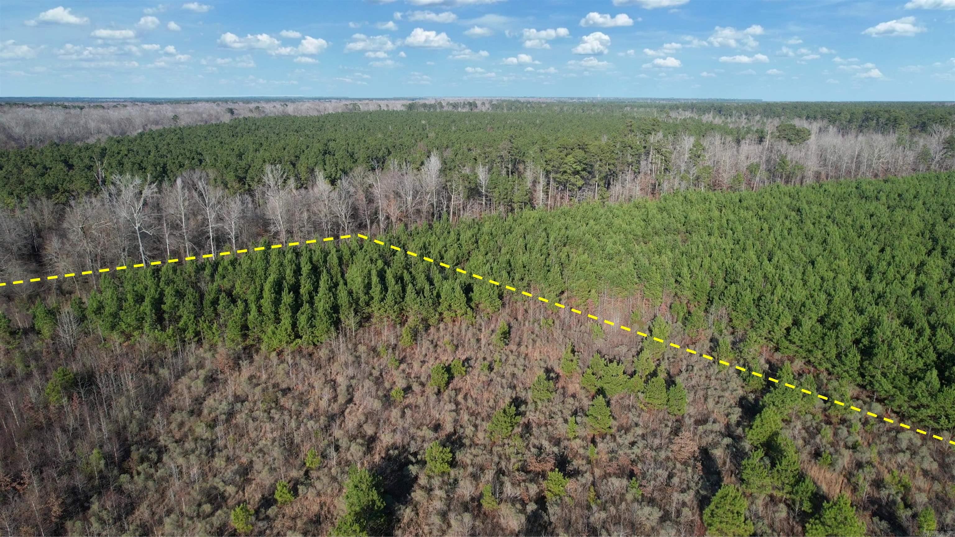 159 Ellison  Rison, AR