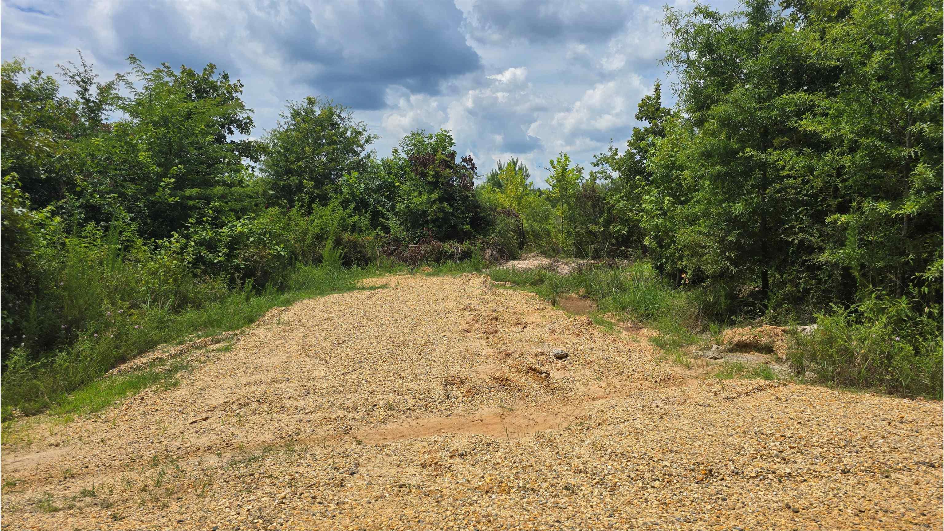 159 Ellison  Rison, AR