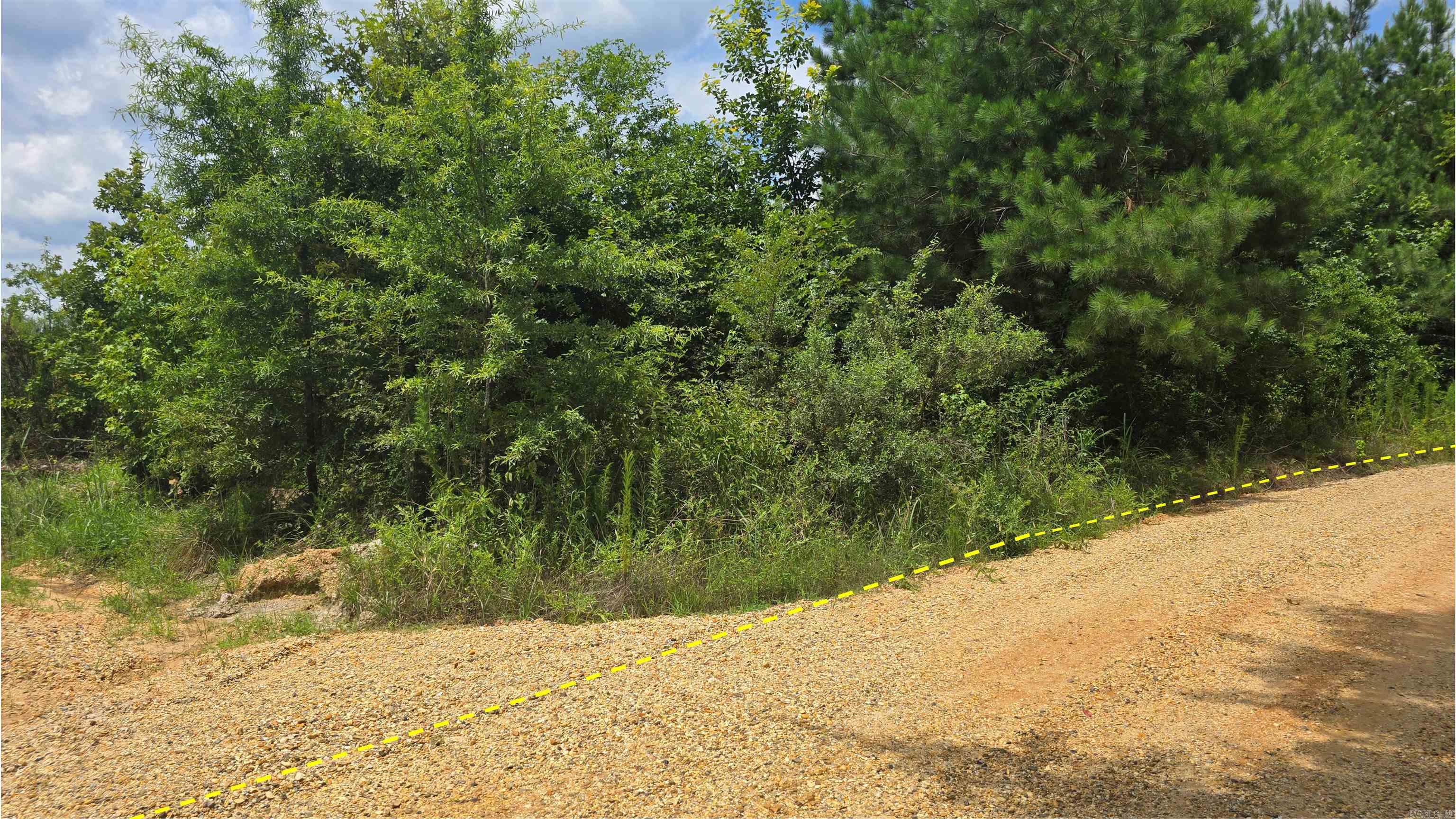 159 Ellison  Rison, AR