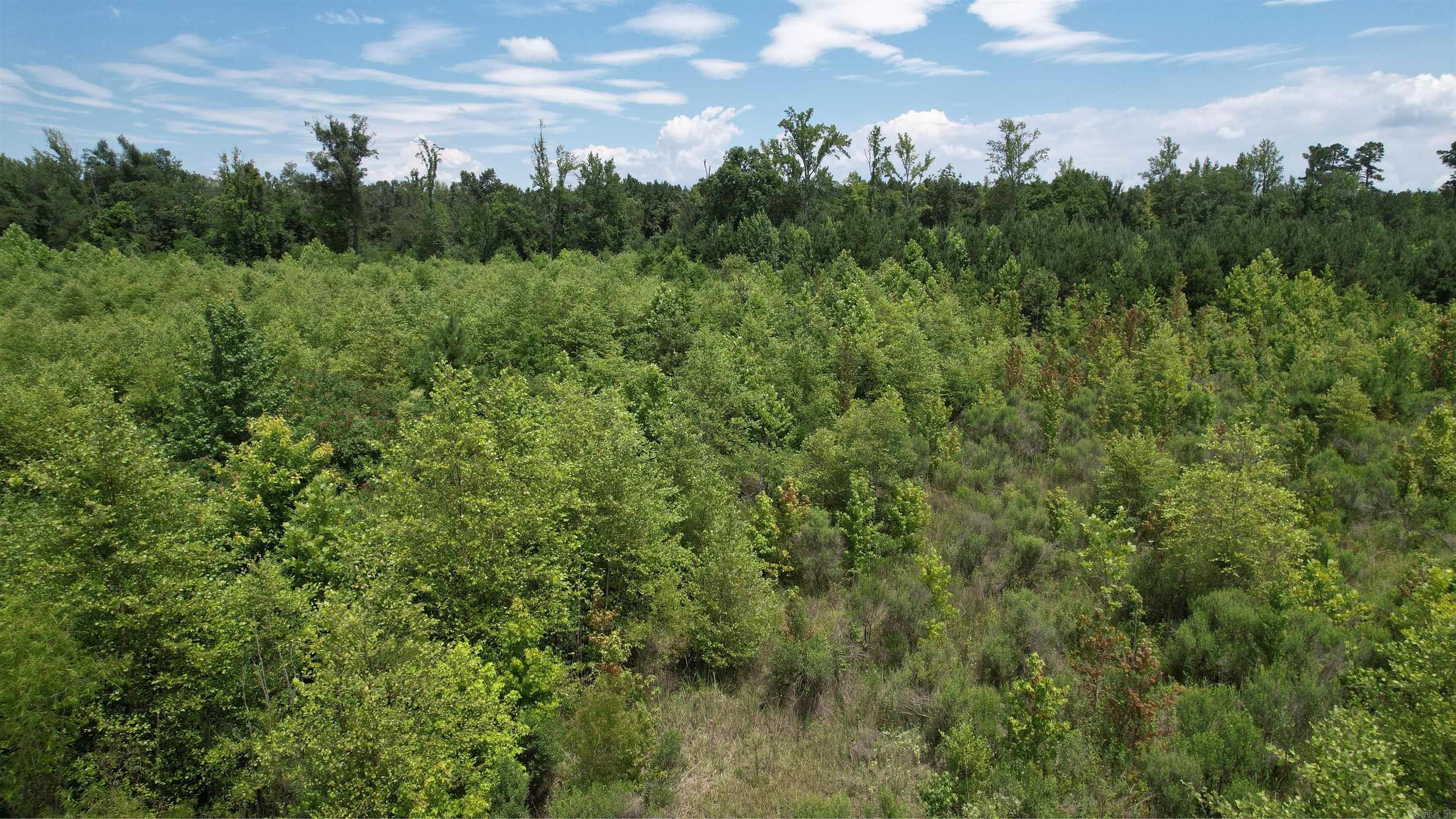 159 Ellison  Rison, AR