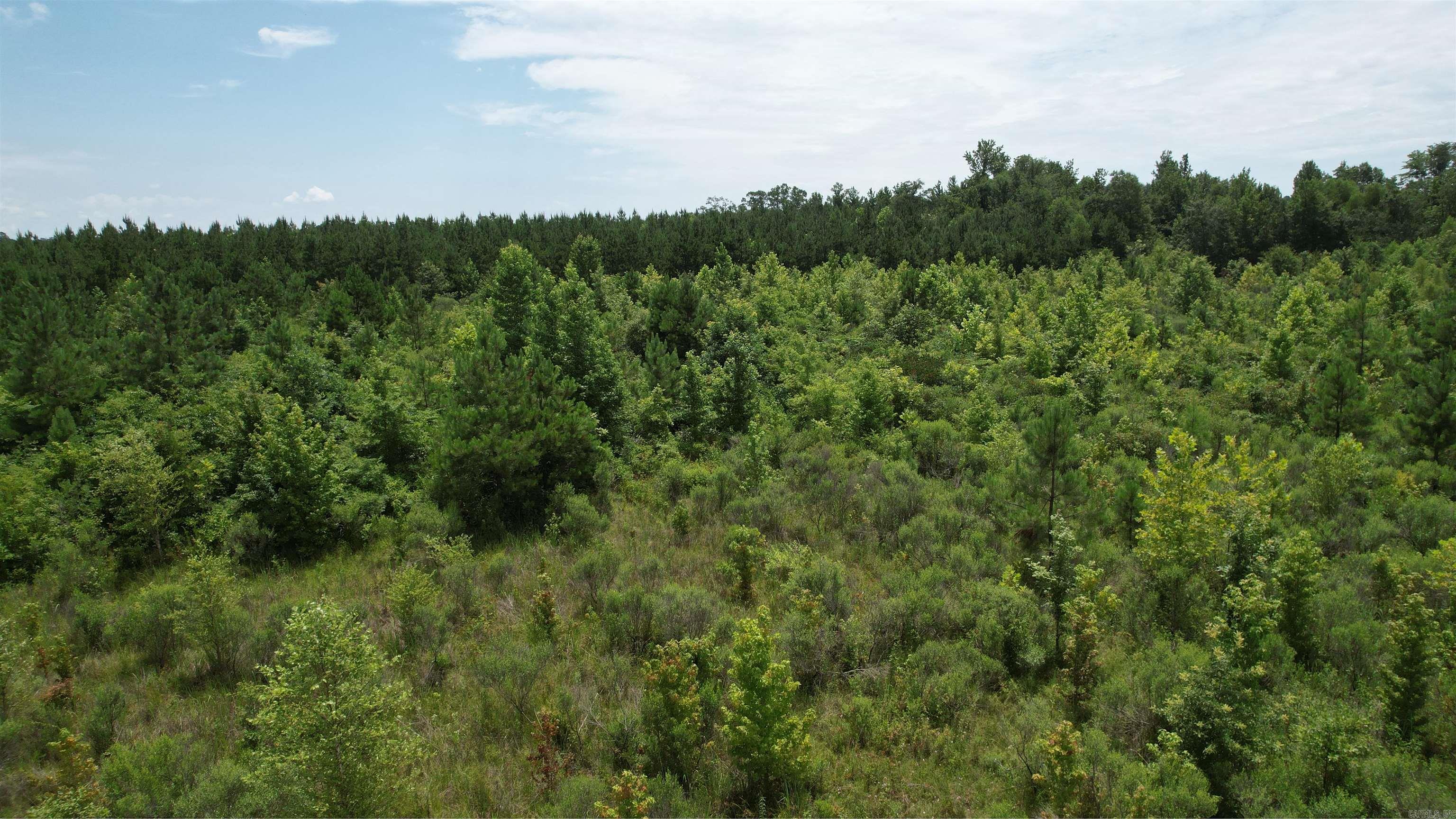 159 Ellison  Rison, AR