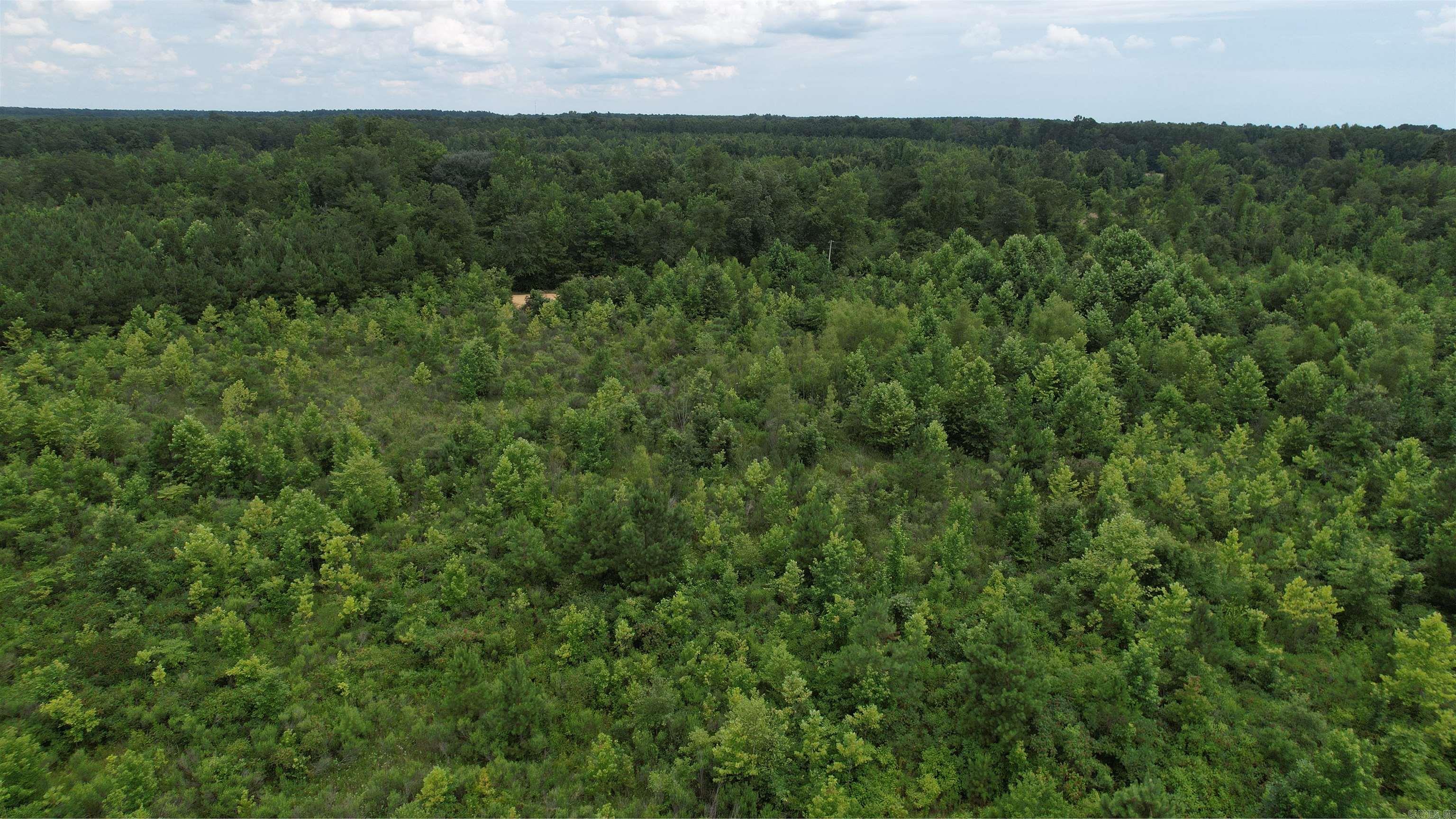 159 Ellison  Rison, AR