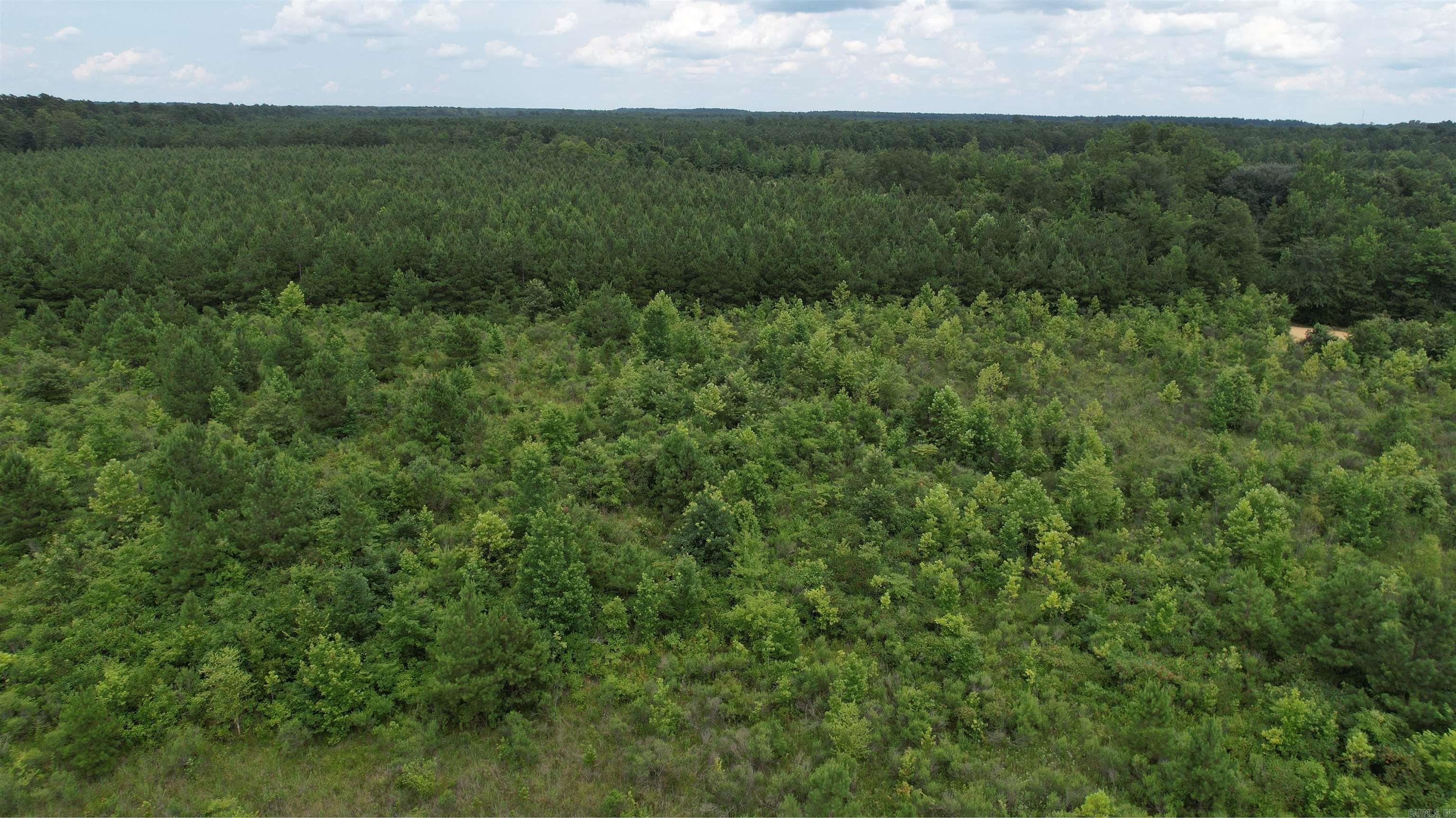 159 Ellison  Rison, AR