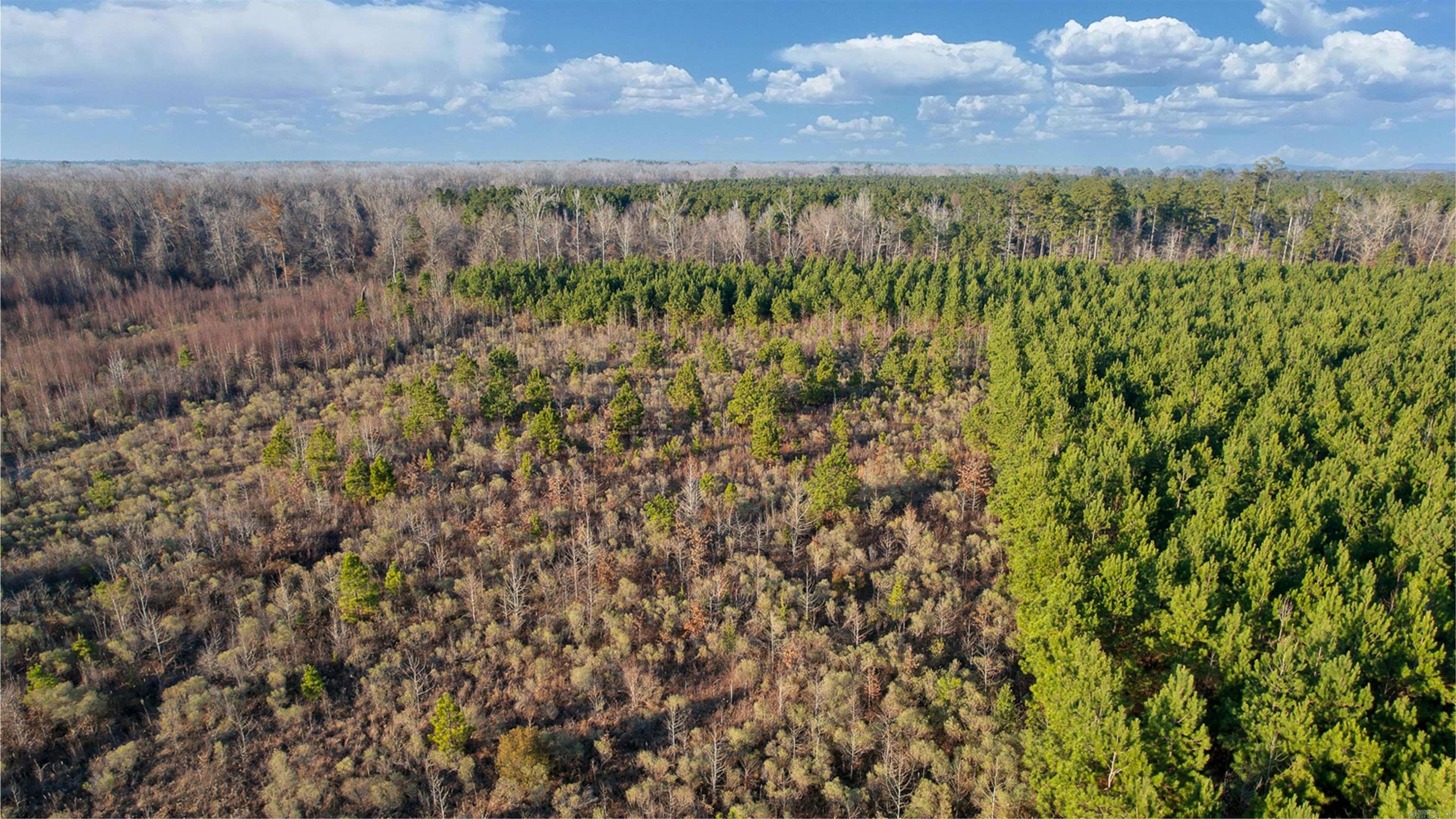 159 Ellison  Rison, AR