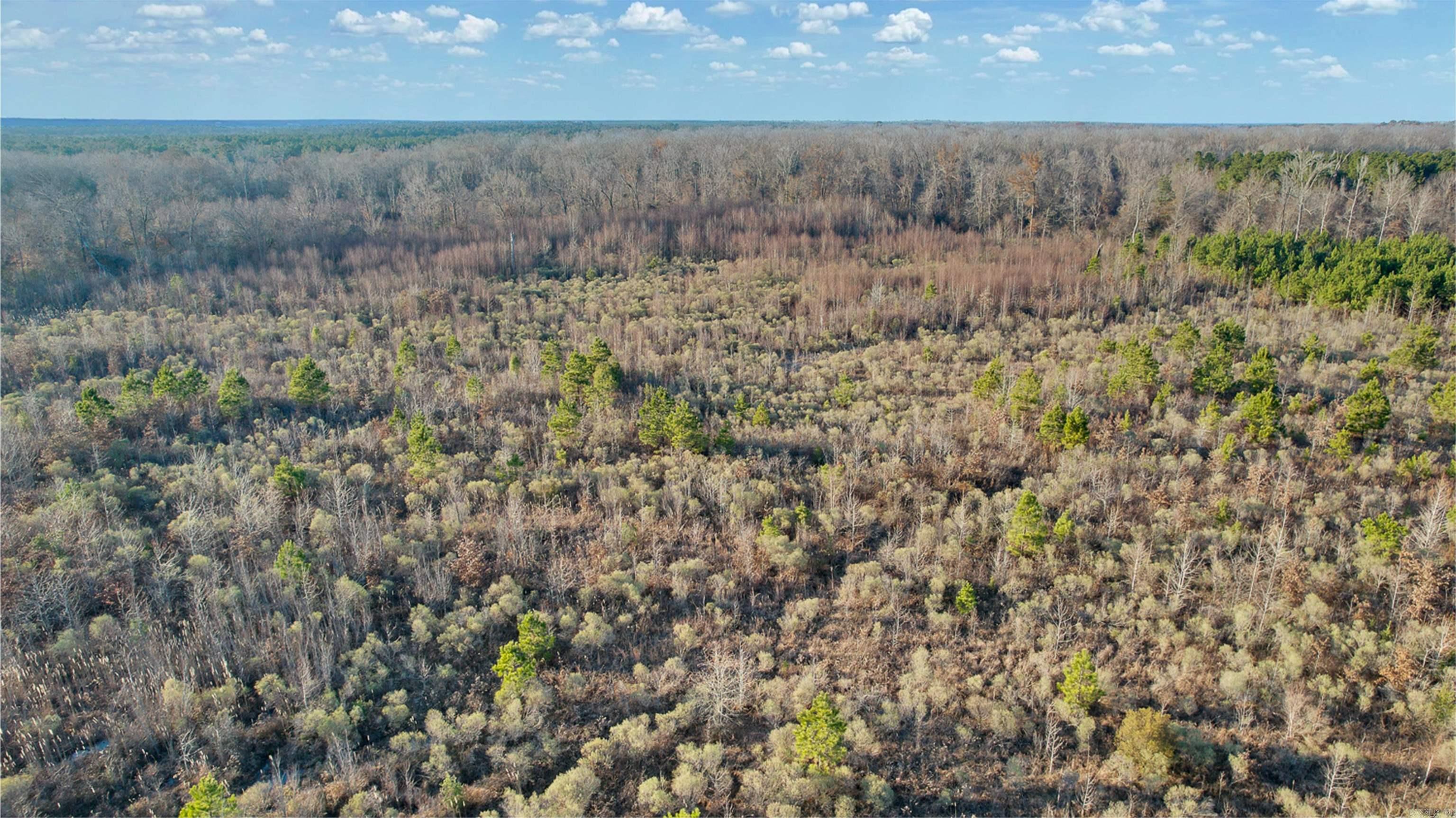 159 Ellison  Rison, AR