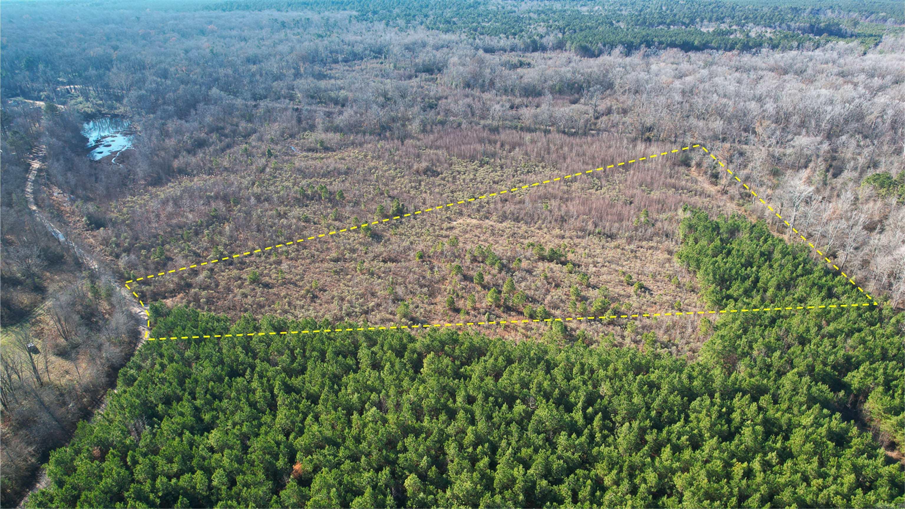 159 Ellison  Rison, AR