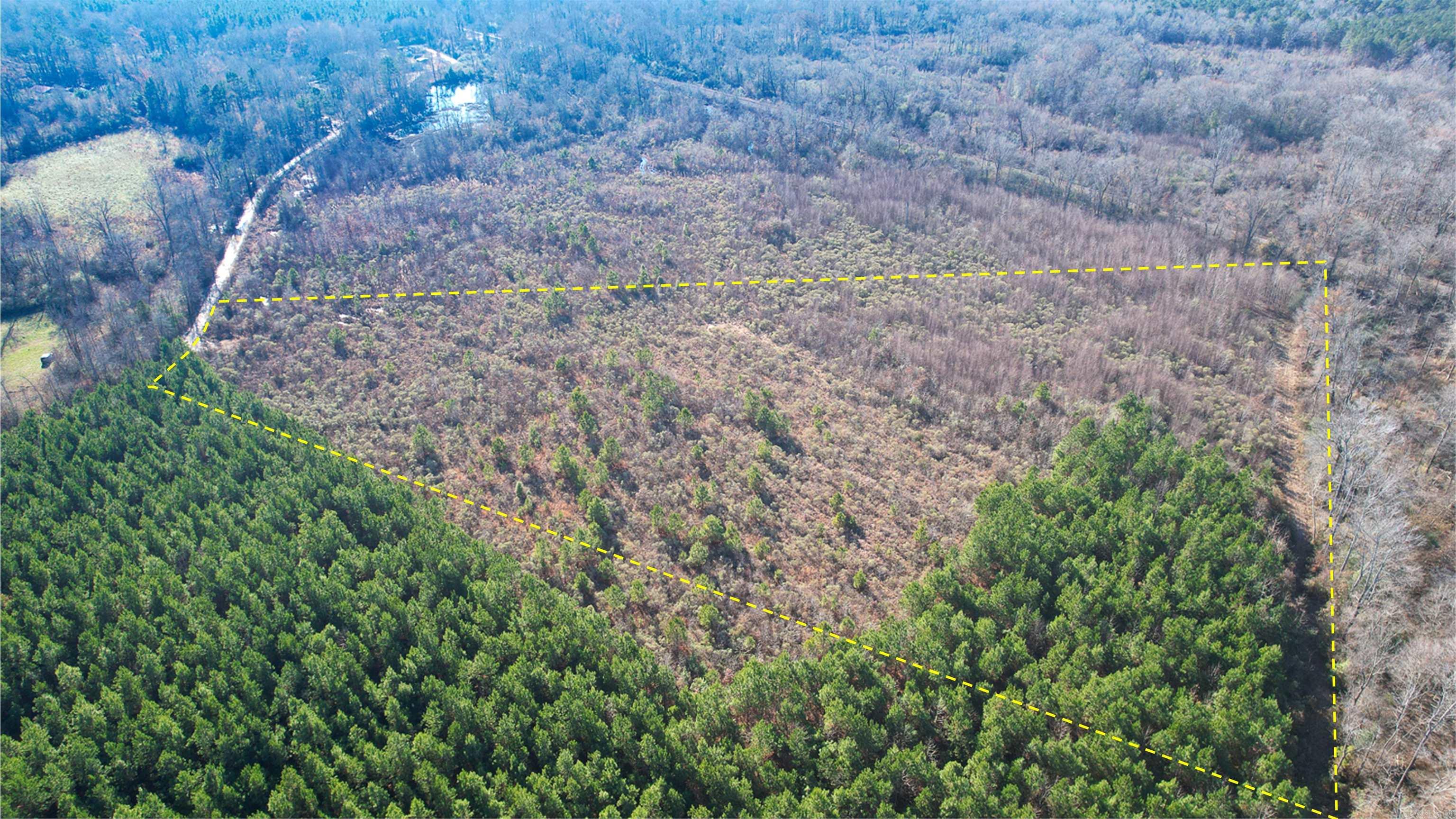 159 Ellison  Rison, AR