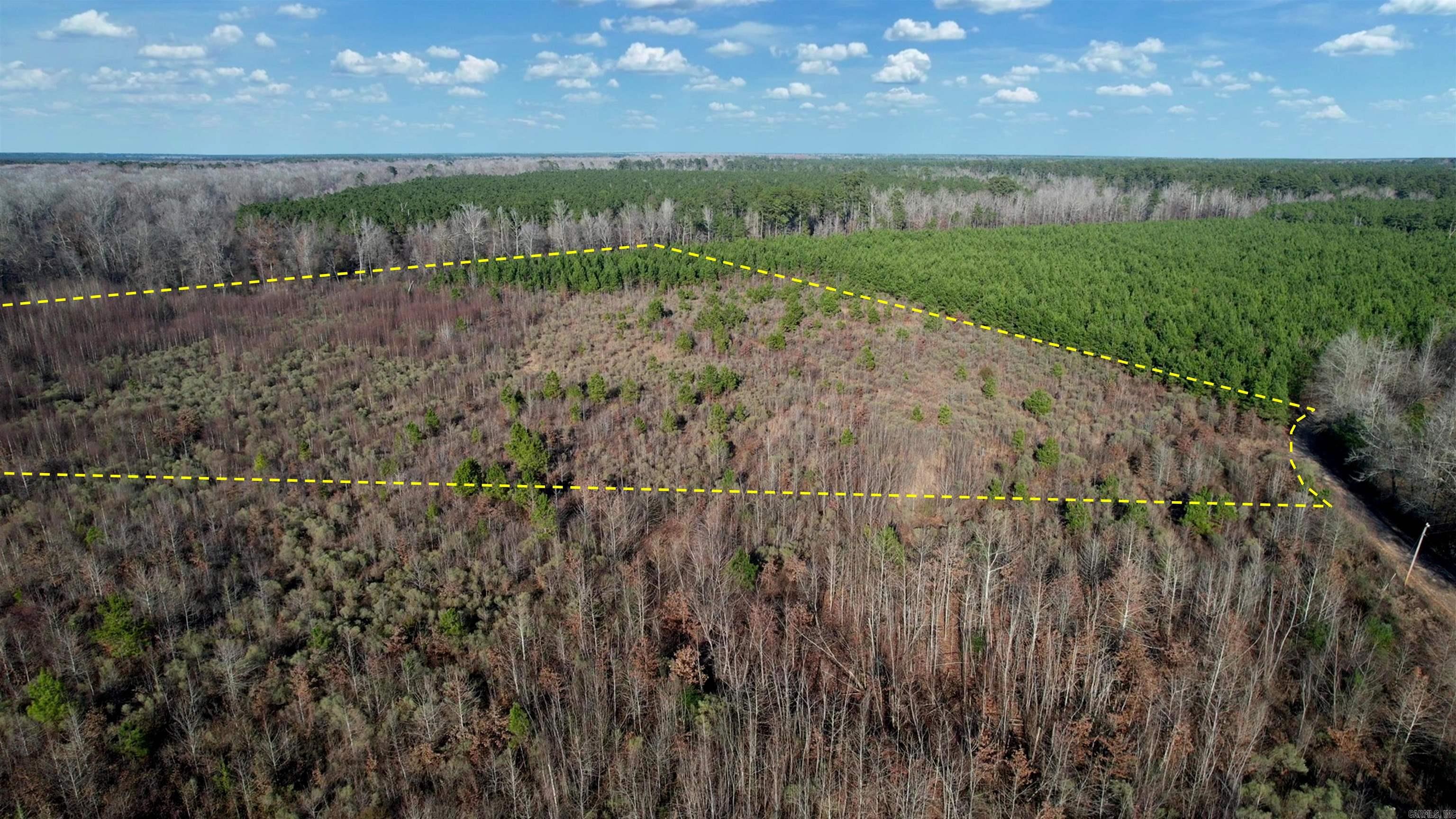 159 Ellison  Rison, AR