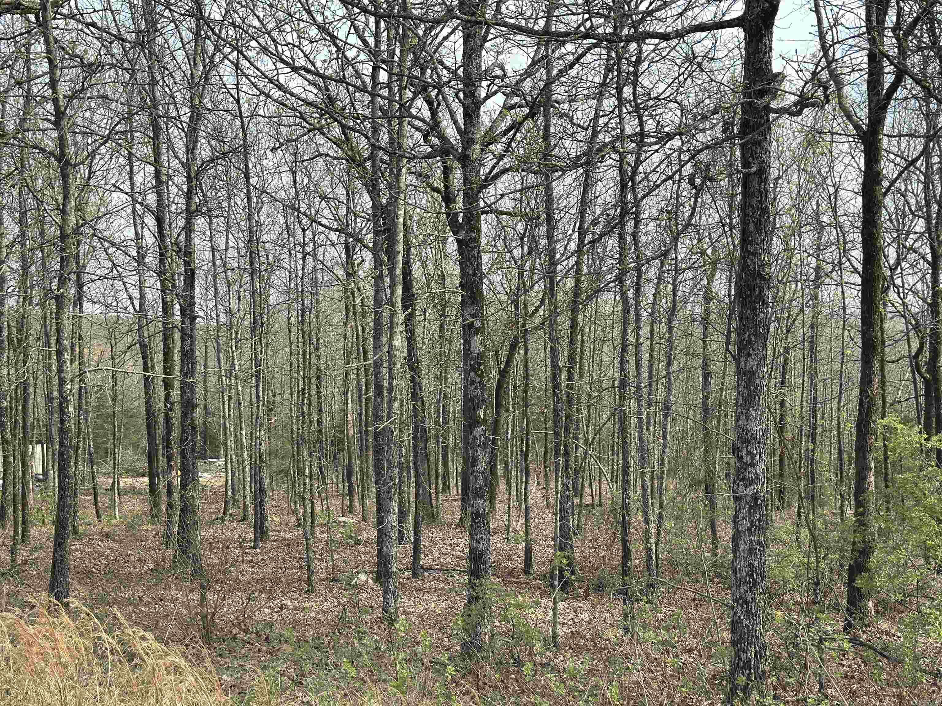 Lot 2 Kenzie Rd/Rocky Branch Estates  Beebe, AR