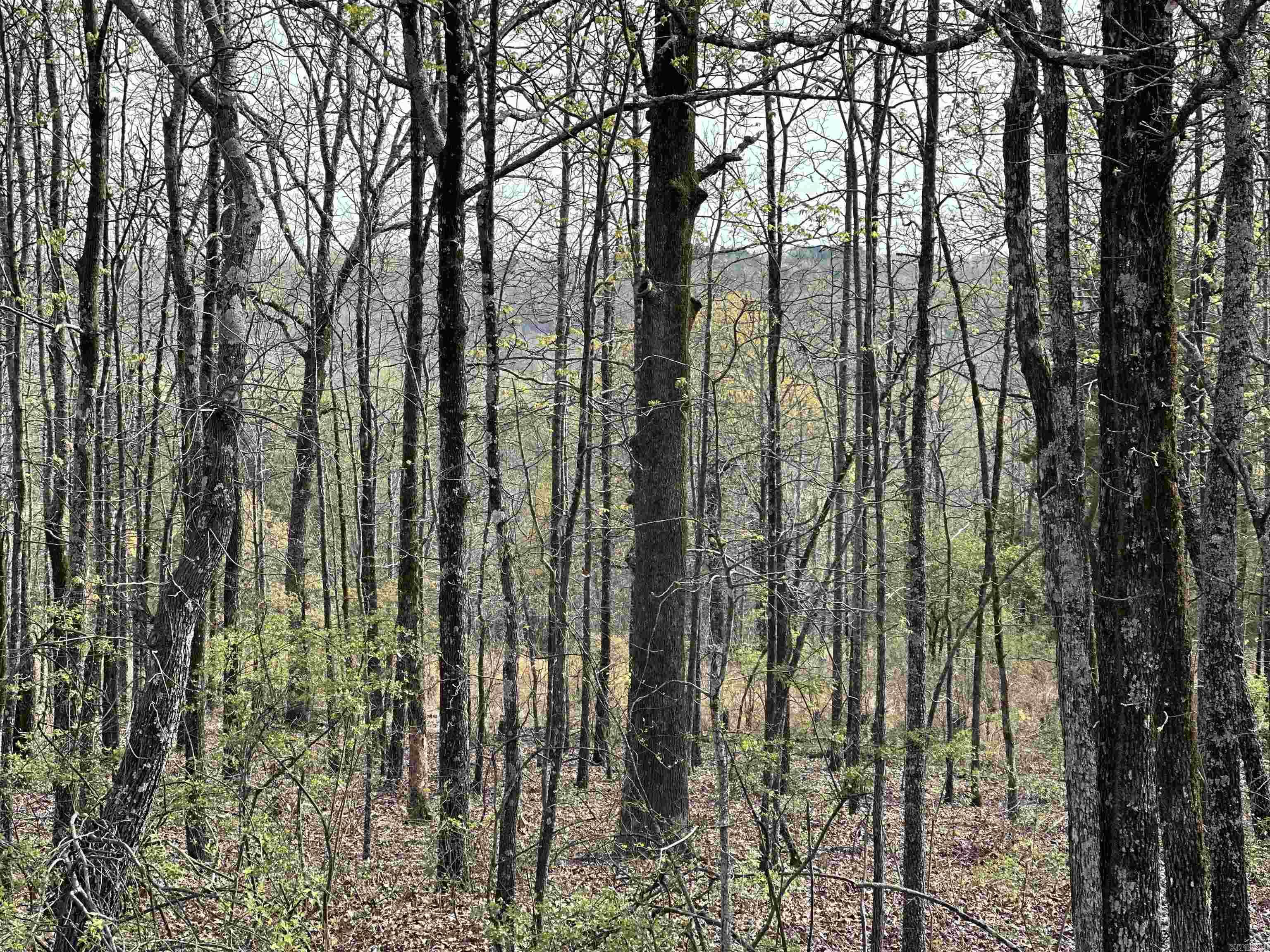 Lot 2 Kenzie Rd/Rocky Branch Estates  Beebe, AR