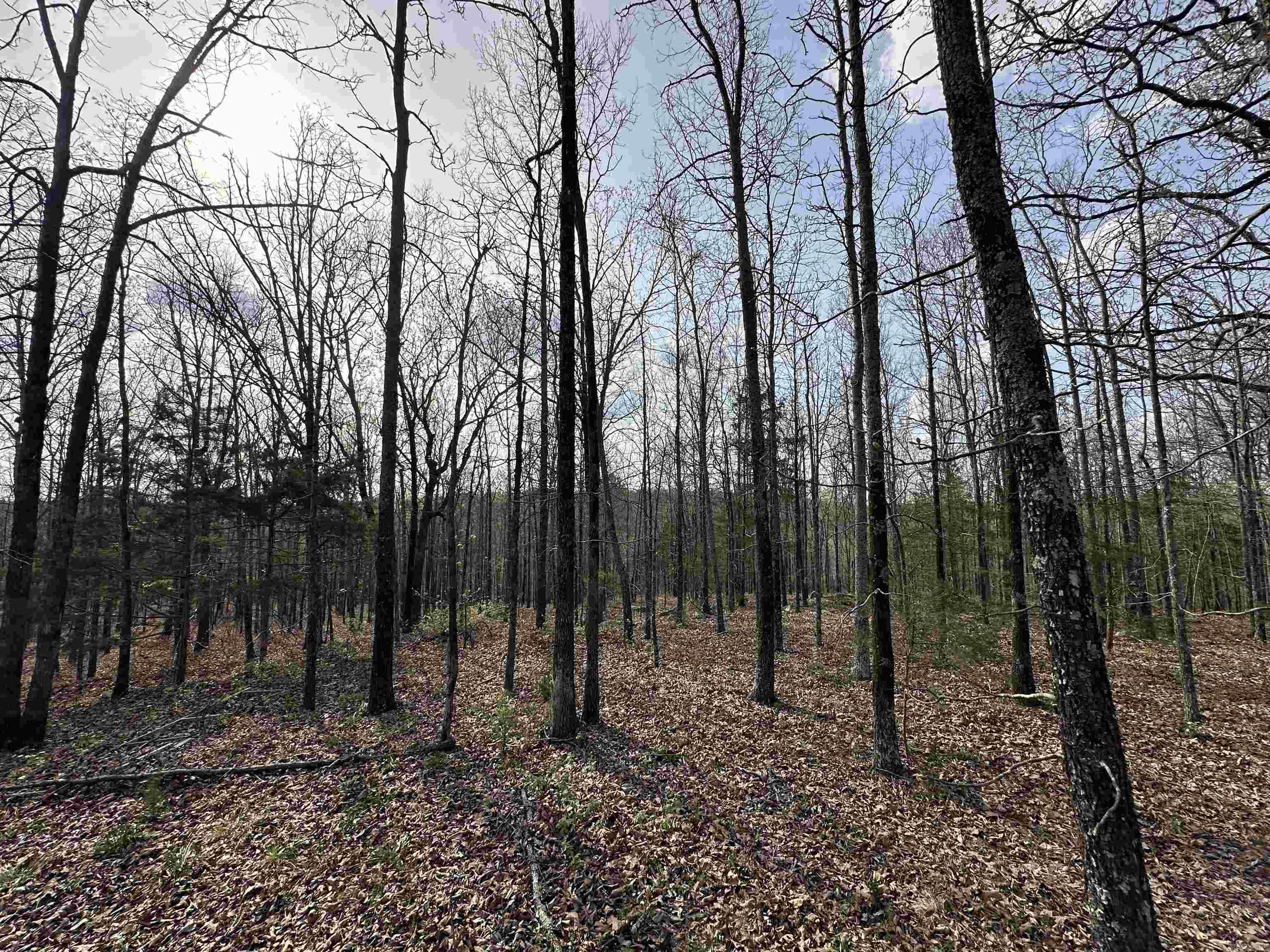 Lot 5 Kenzie Cv/Rocky Branch Estates  Beebe, AR