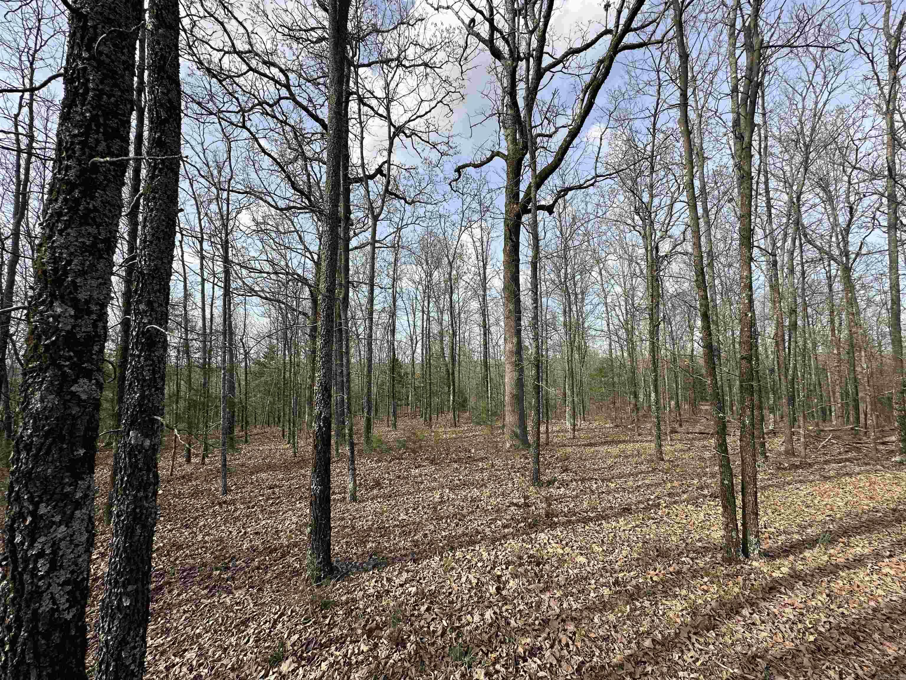 Lot 5 Kenzie Cv/Rocky Branch Estates  Beebe, AR