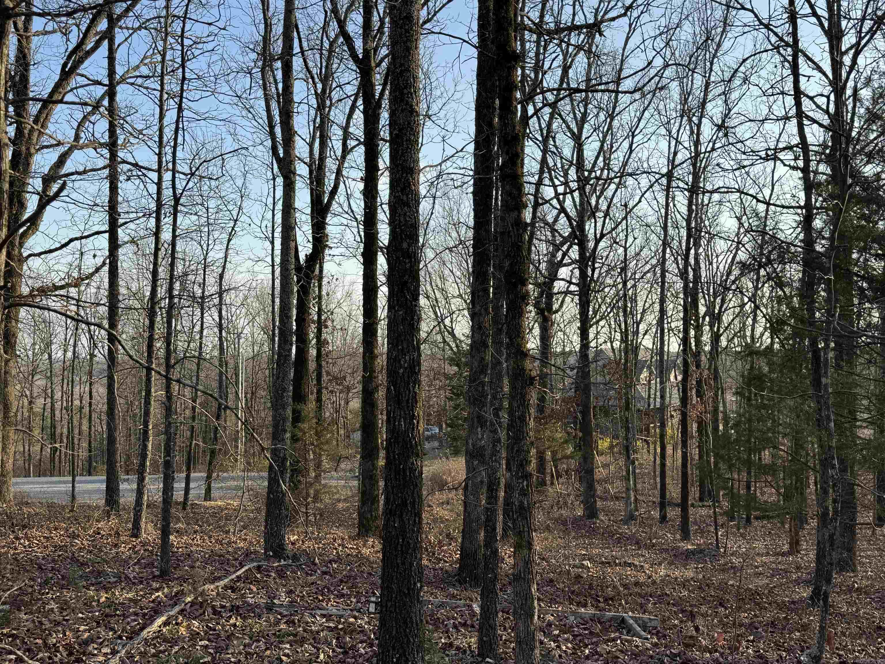 Lot 5 Kenzie Cv/Rocky Branch Estates  Beebe, AR