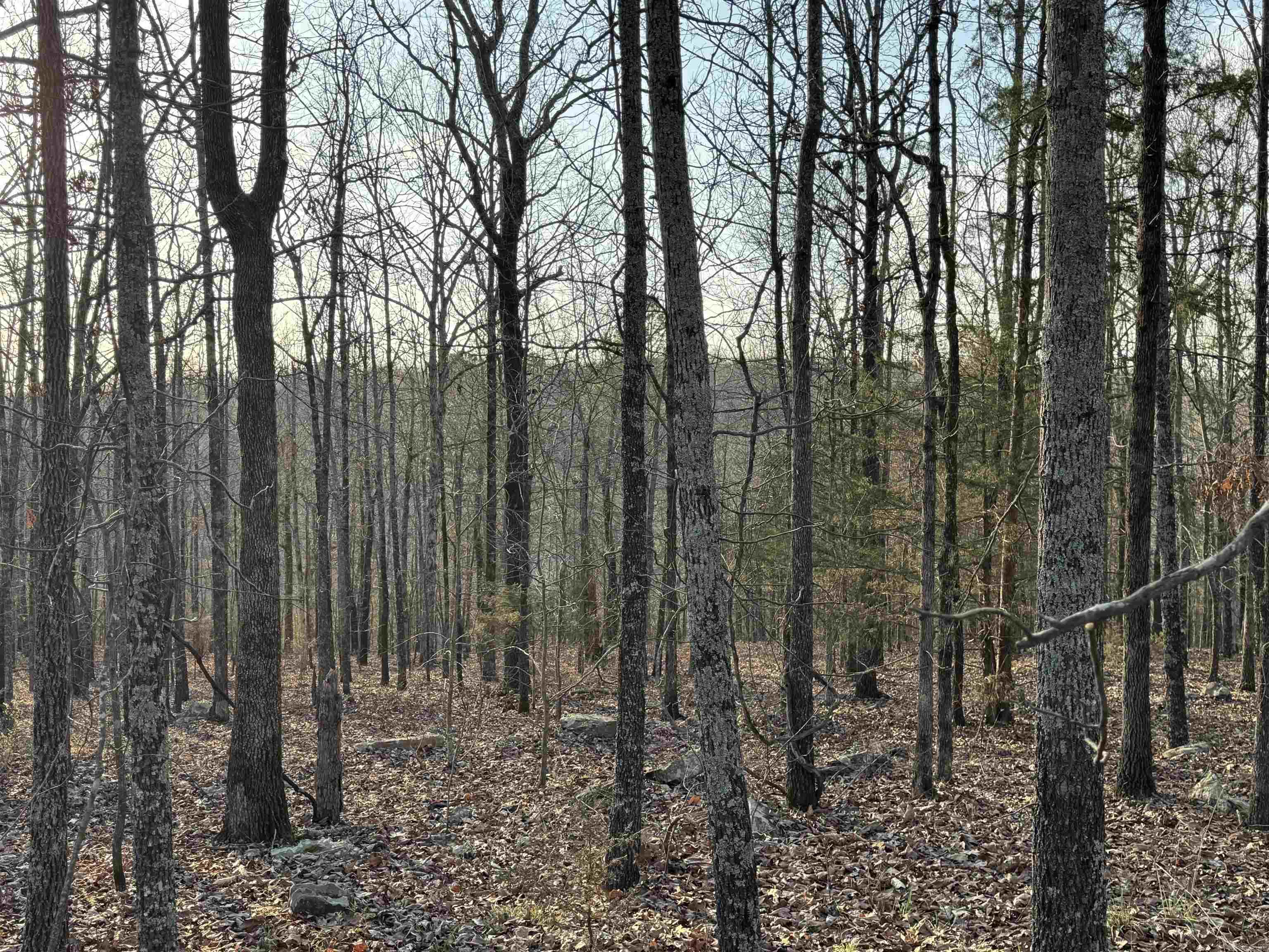Lot 5 Kenzie Cv/Rocky Branch Estates  Beebe, AR