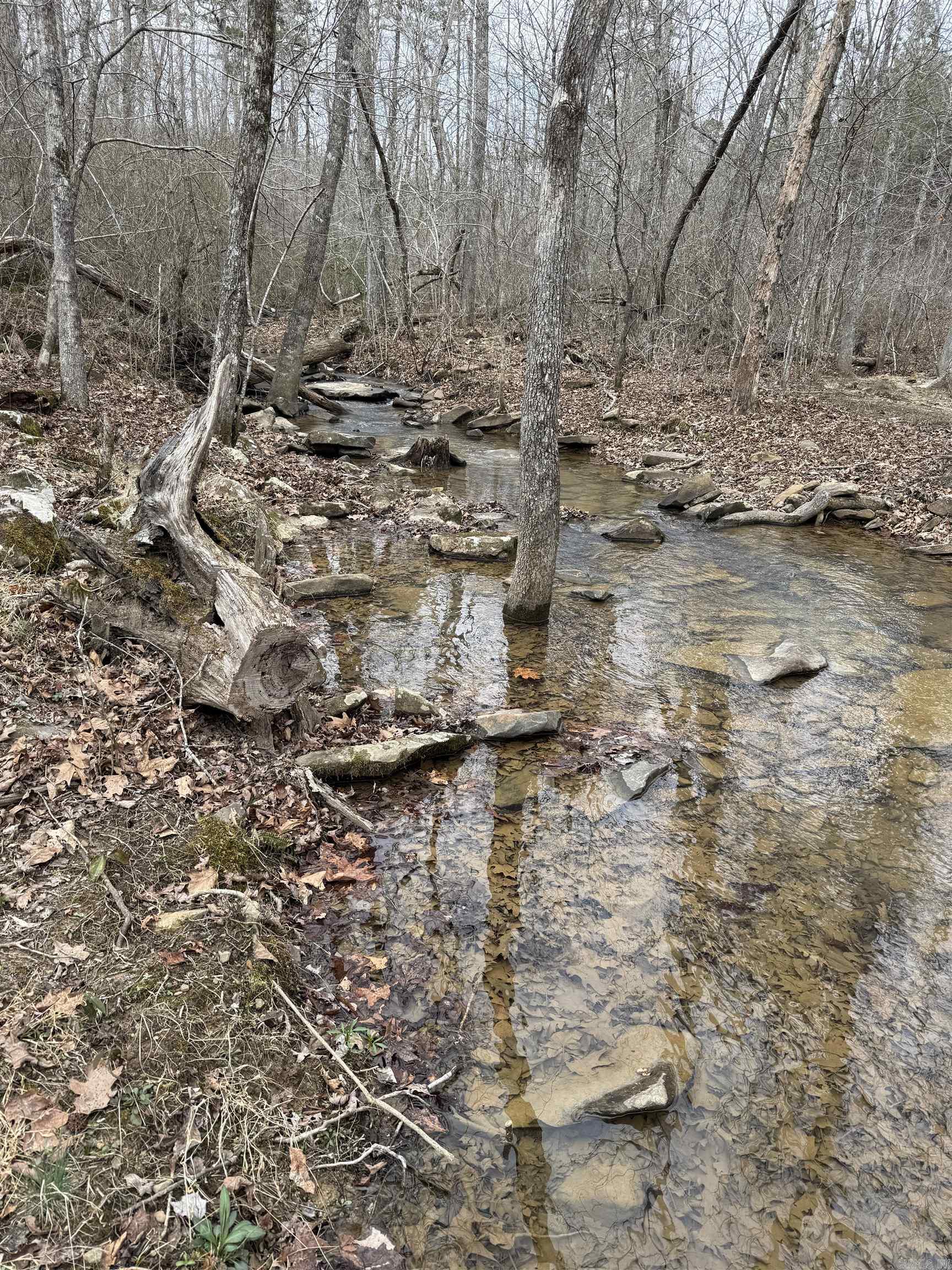 2085 Quicksilver  Leslie, AR