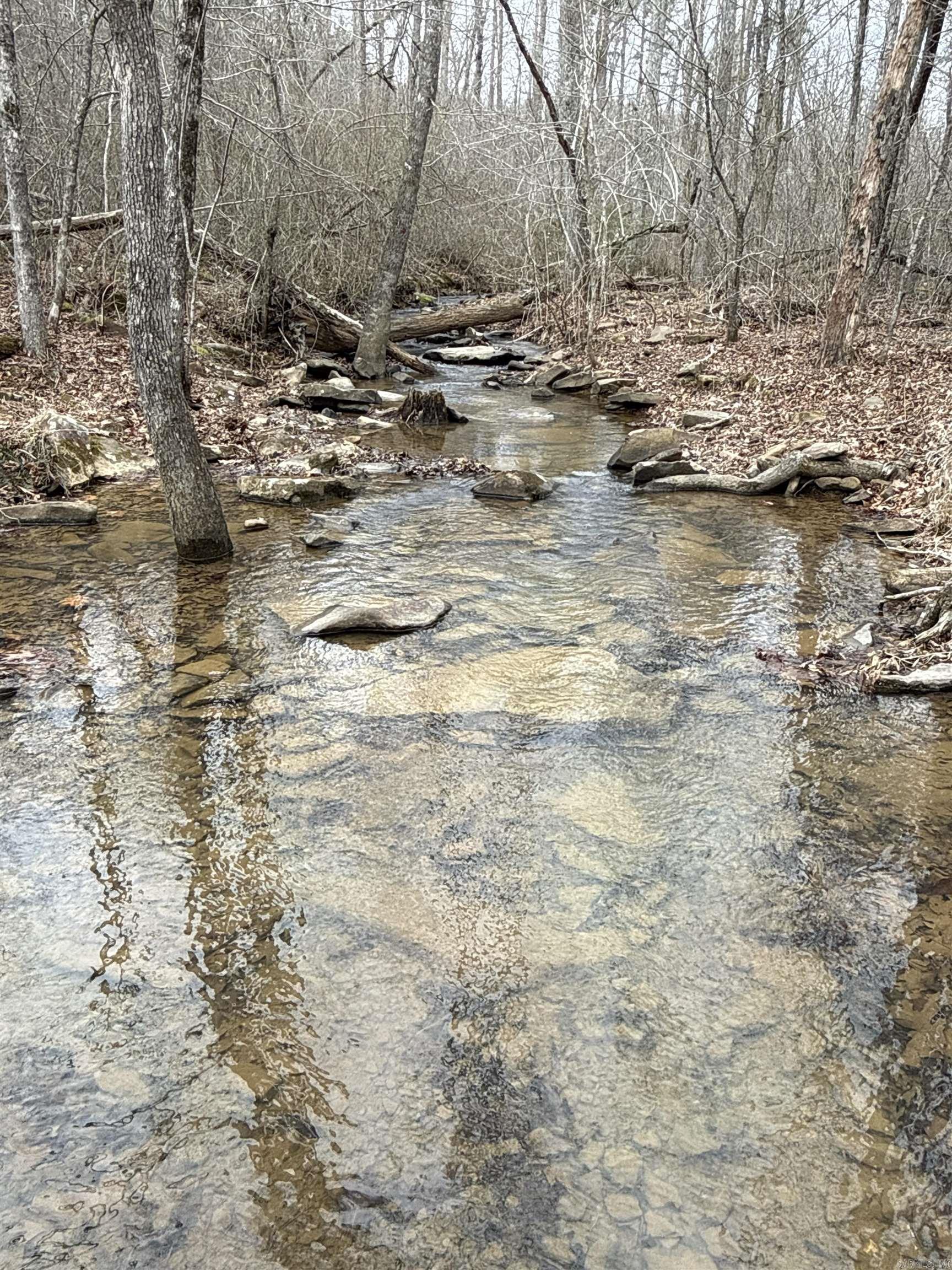 2085 Quicksilver  Leslie, AR