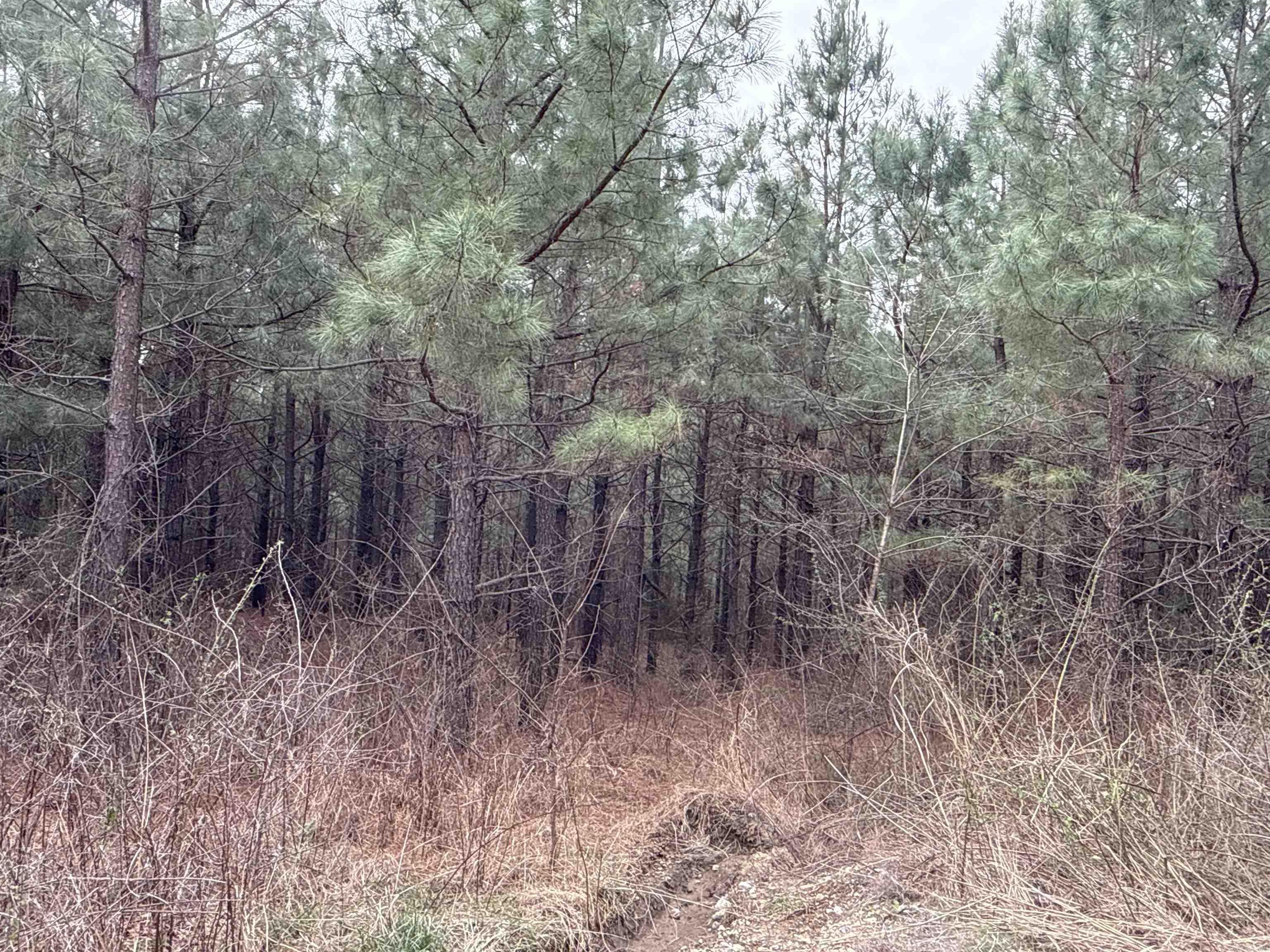 2085 Quicksilver  Leslie, AR