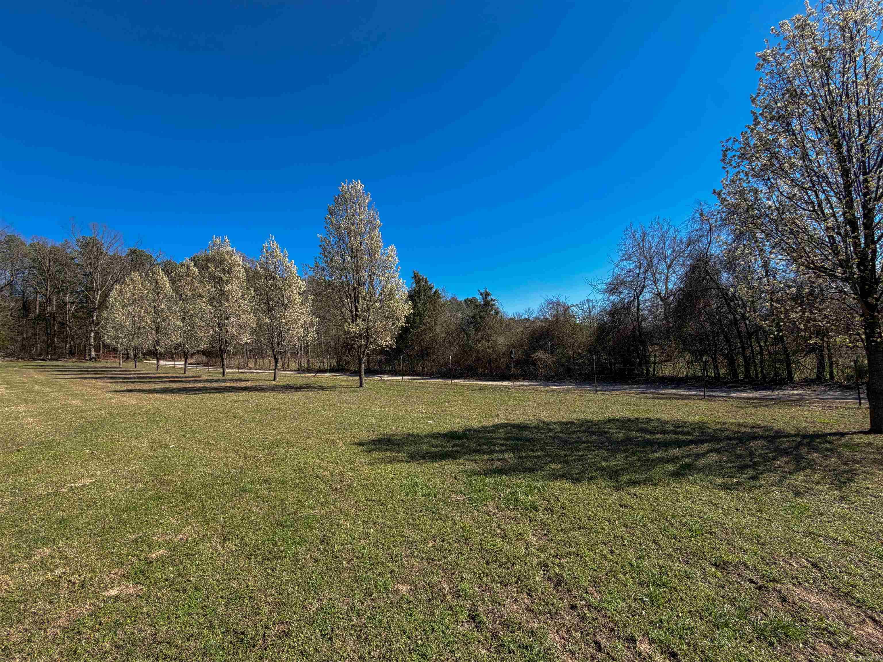 211 Featherhill Terrace  Norfork, AR