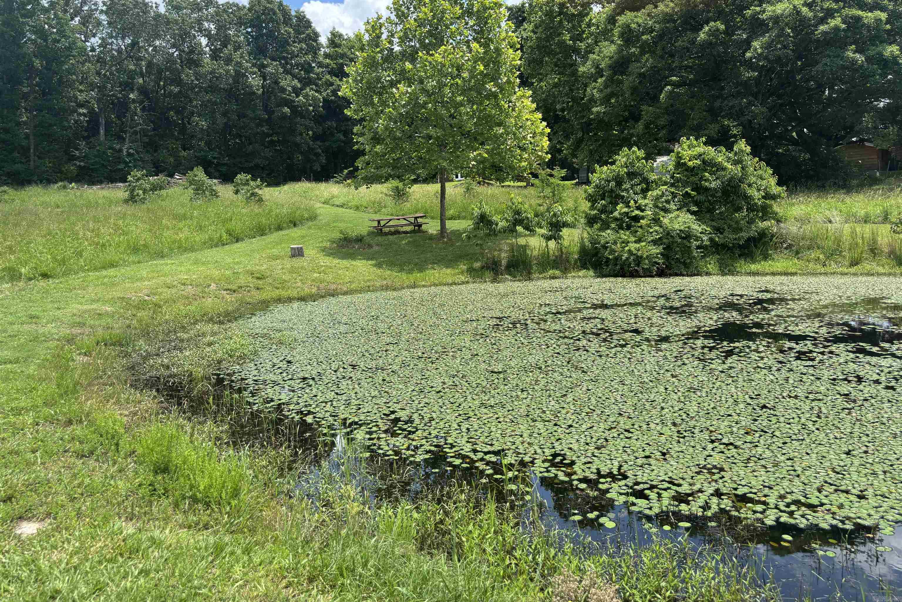 211 Featherhill Terrace  Norfork, AR