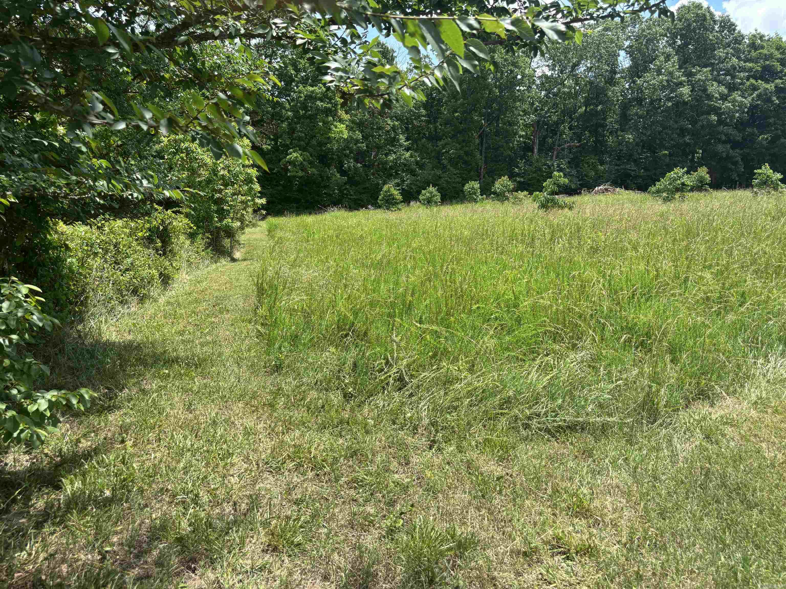 211 Featherhill Terrace  Norfork, AR