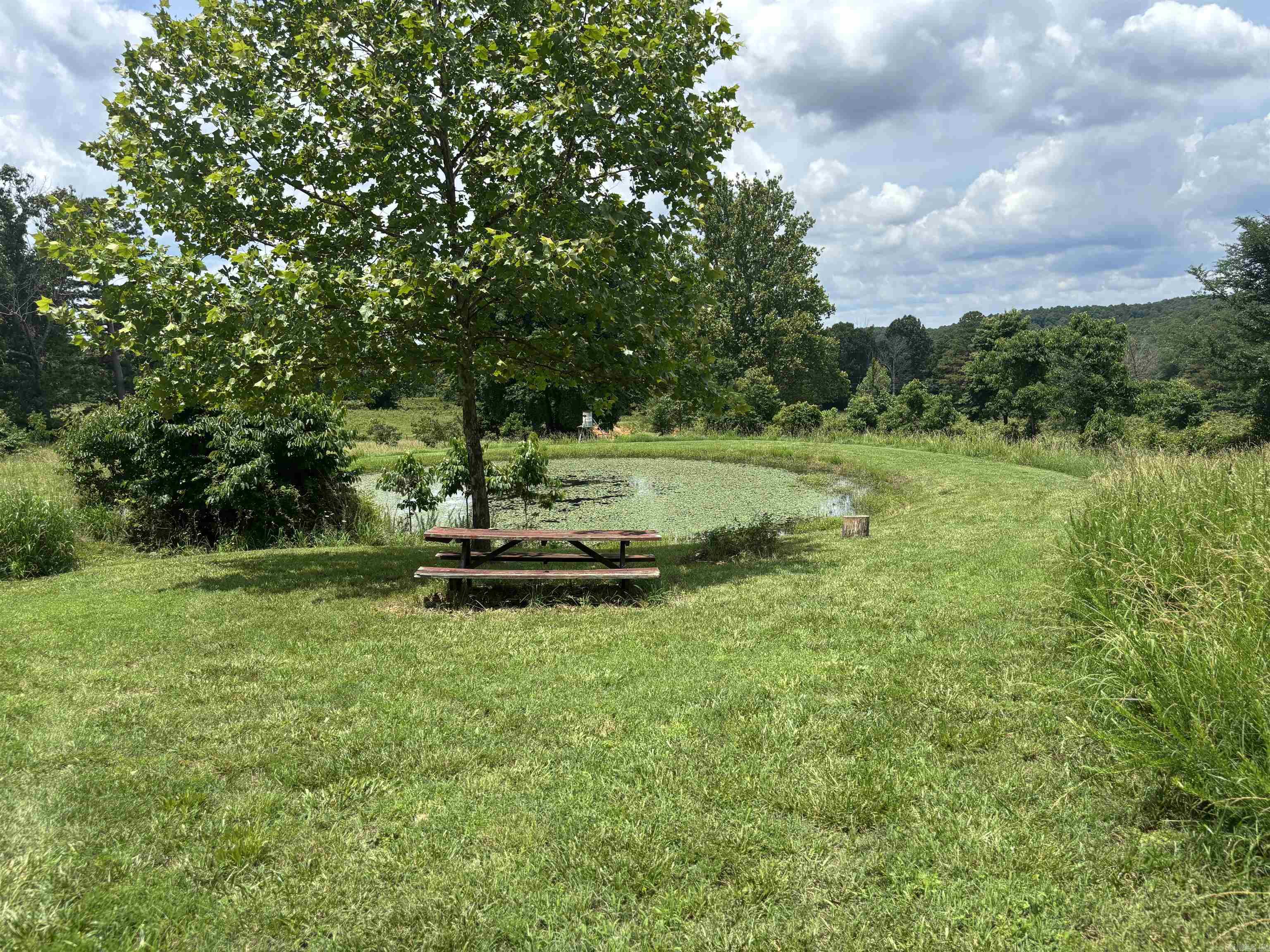 211 Featherhill Terrace  Norfork, AR