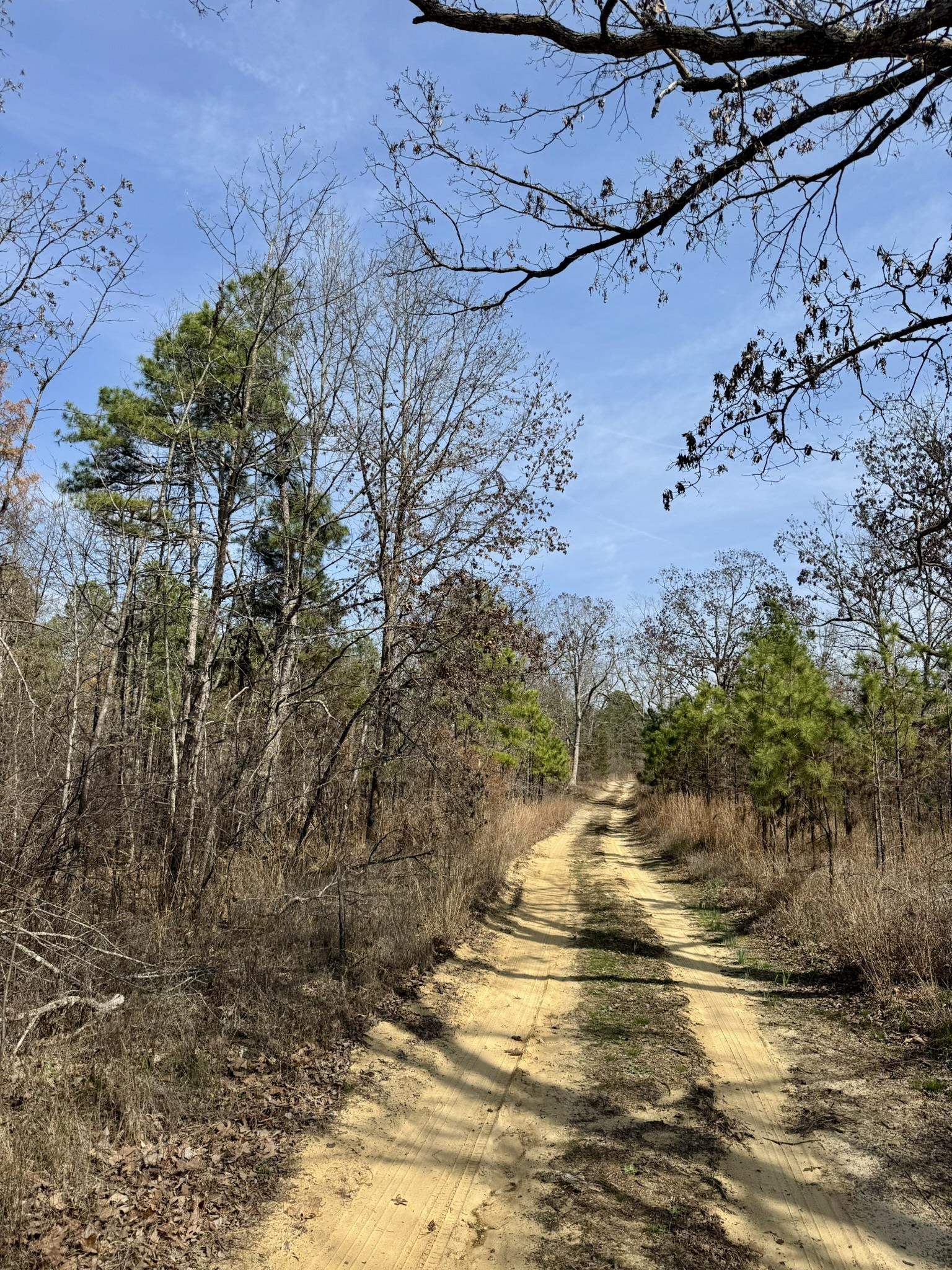 300 Parker  Oxford, AR