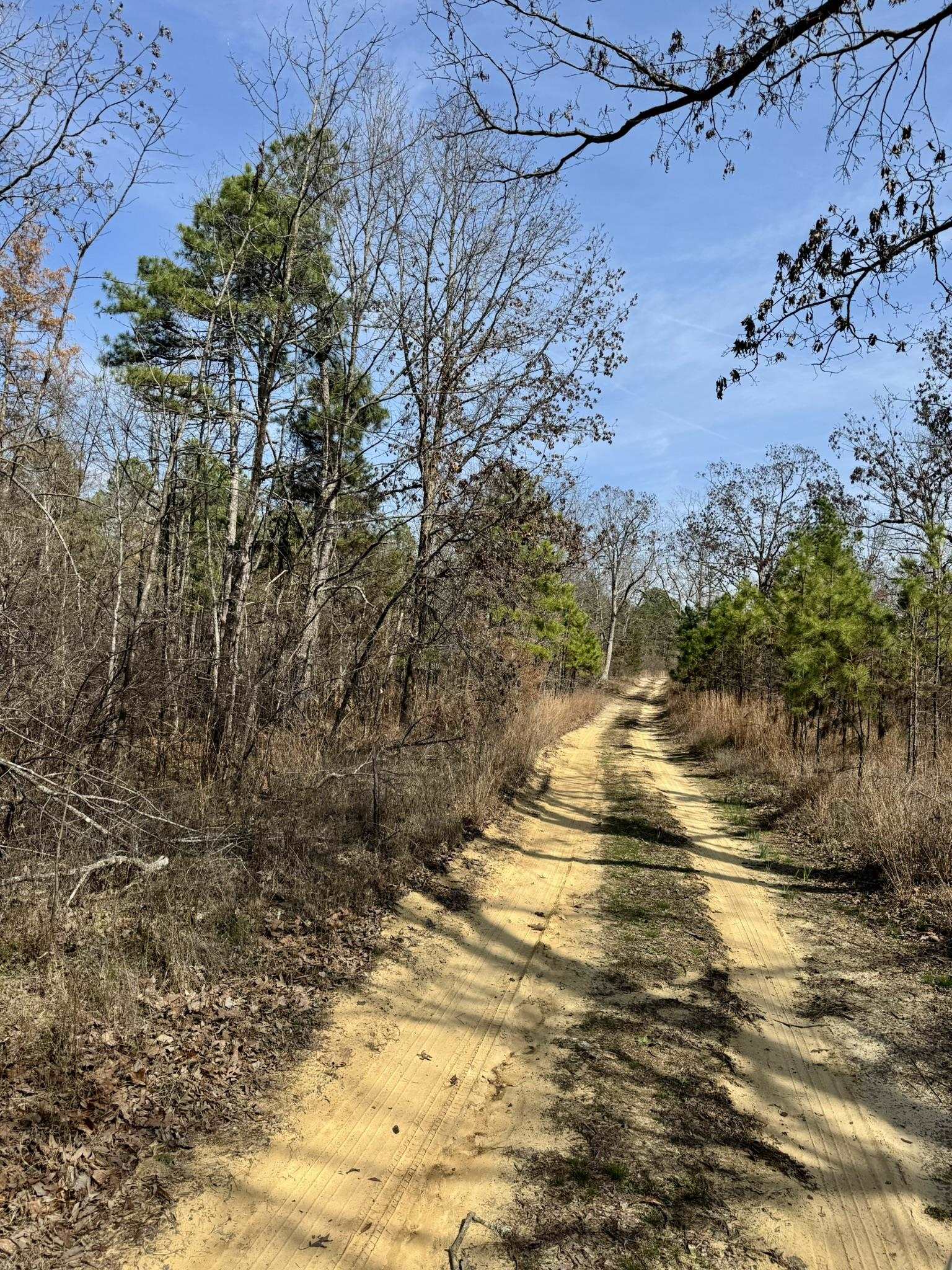 300 Parker  Oxford, AR