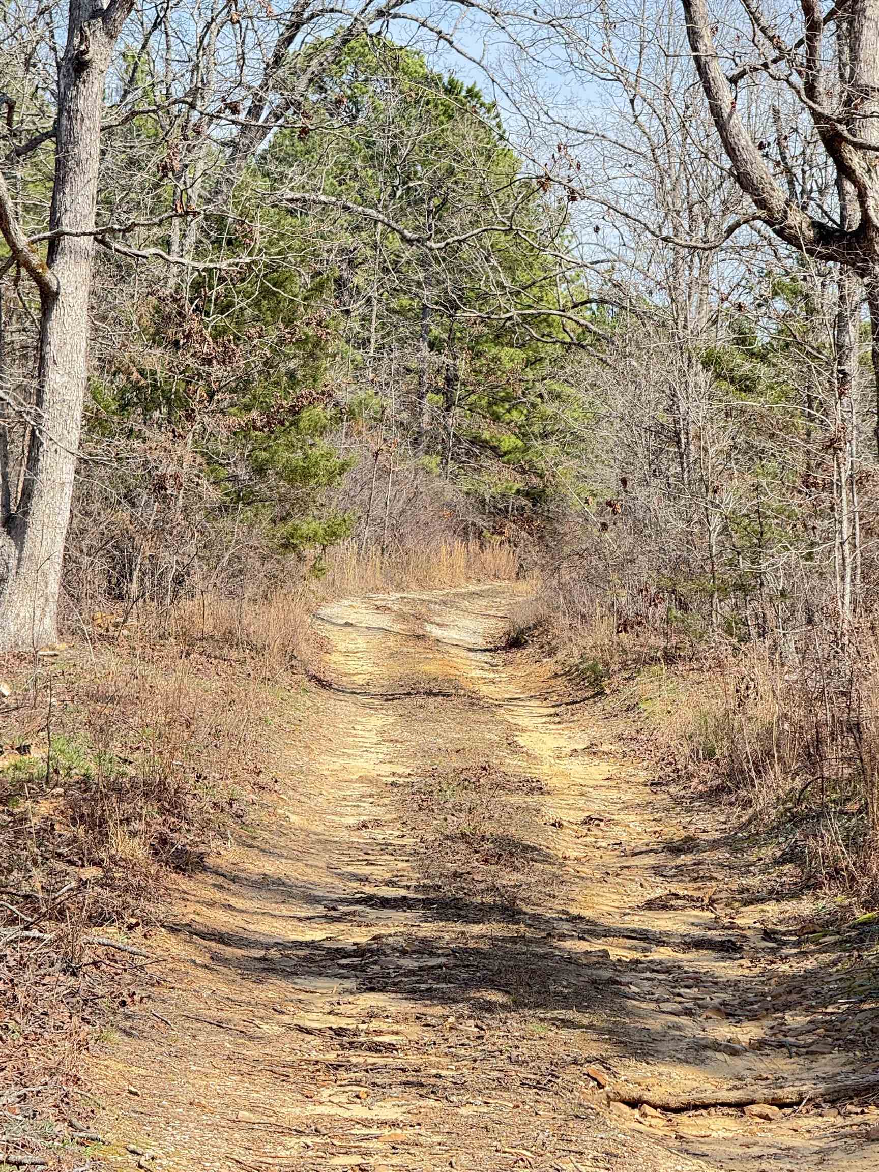 300 Parker  Oxford, AR