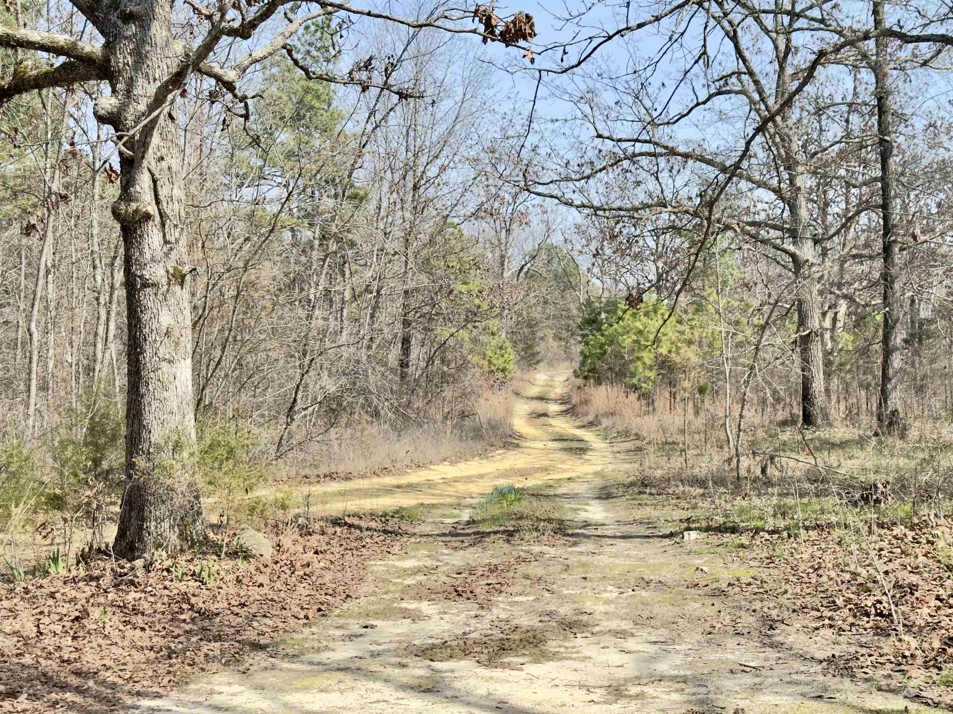 300 Parker  Oxford, AR