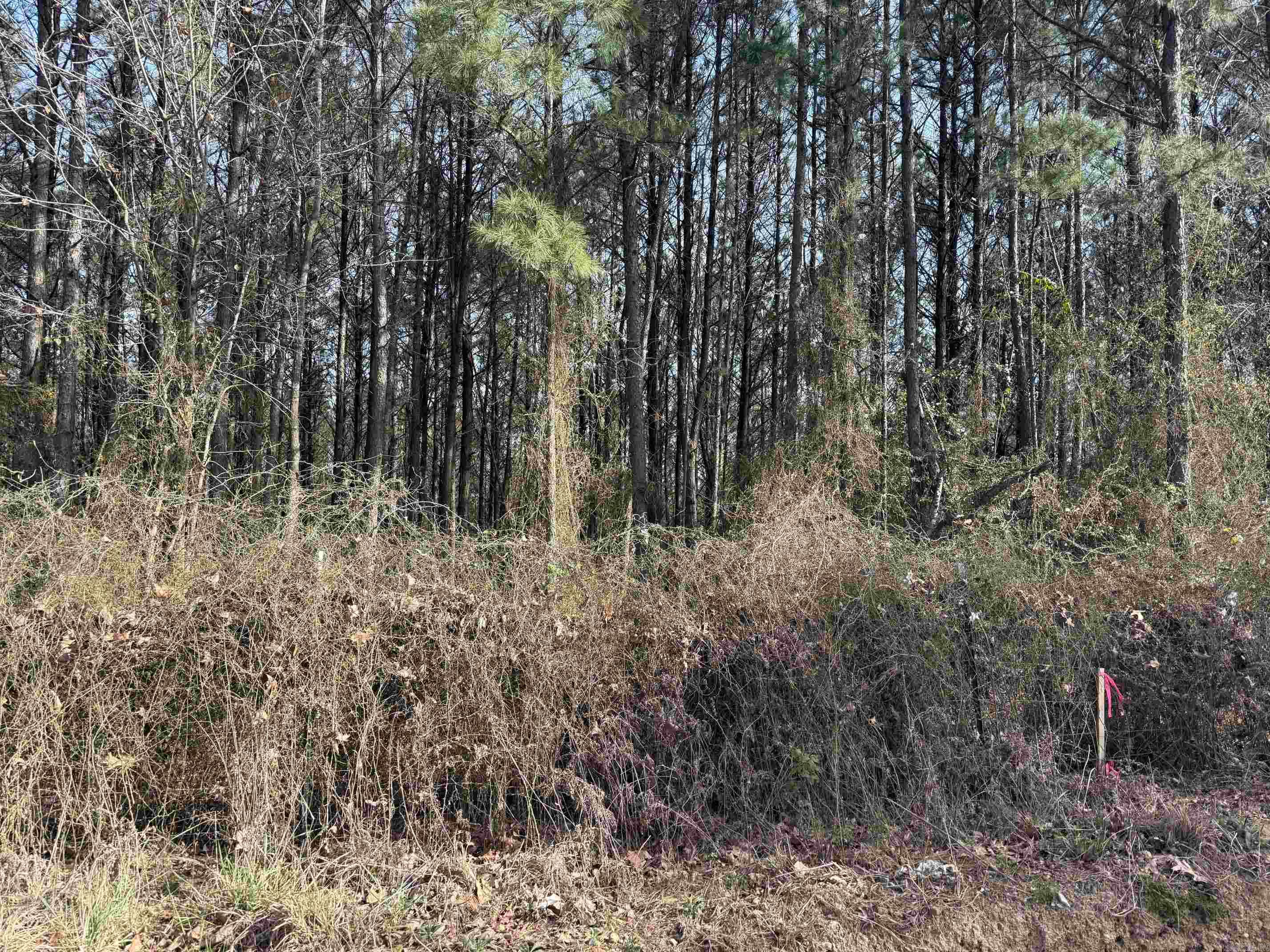 TBD Polk Road 13  Wickes, AR