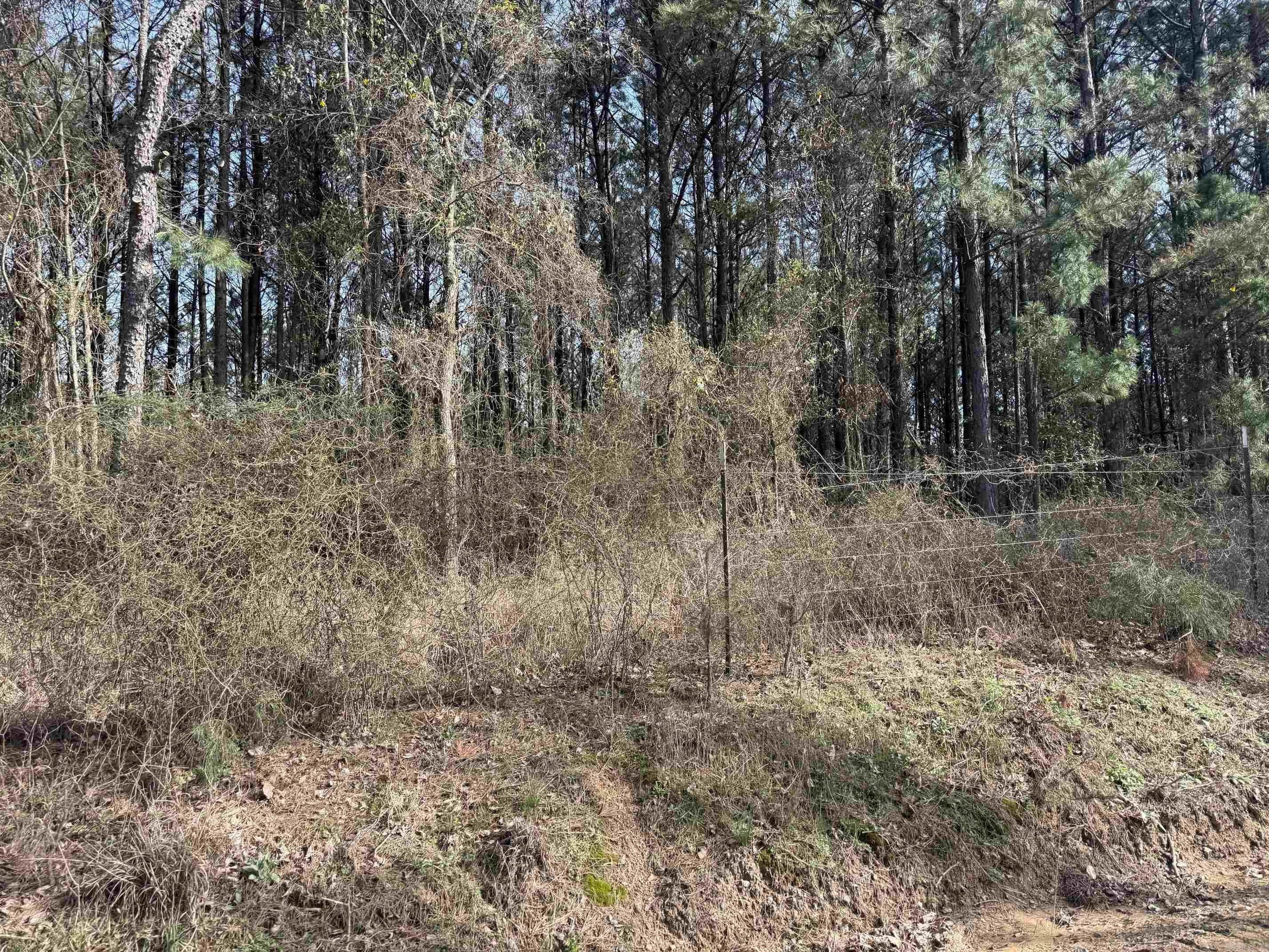 TBD Polk Road 13  Wickes, AR