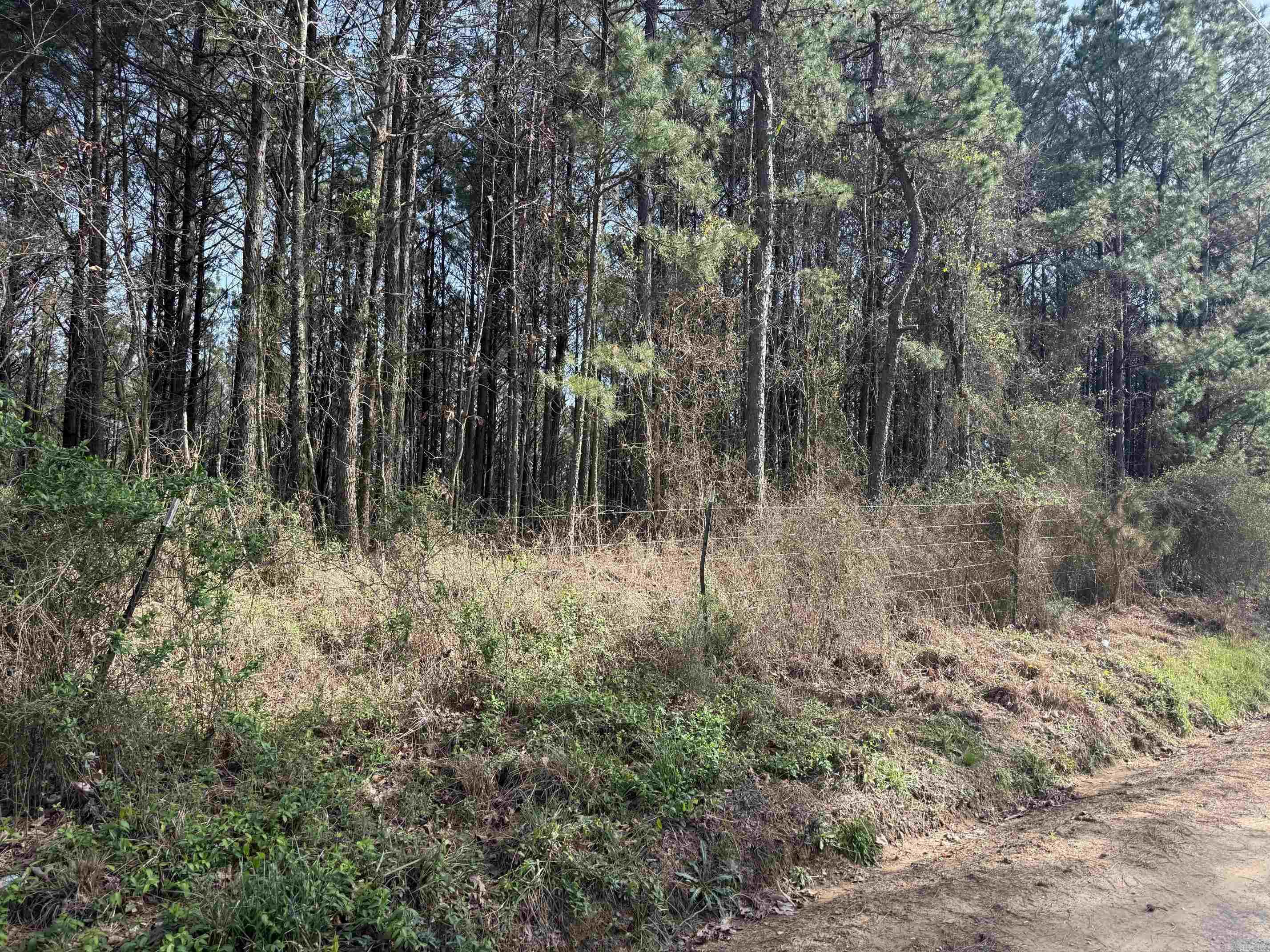 TBD Polk Road 13  Wickes, AR