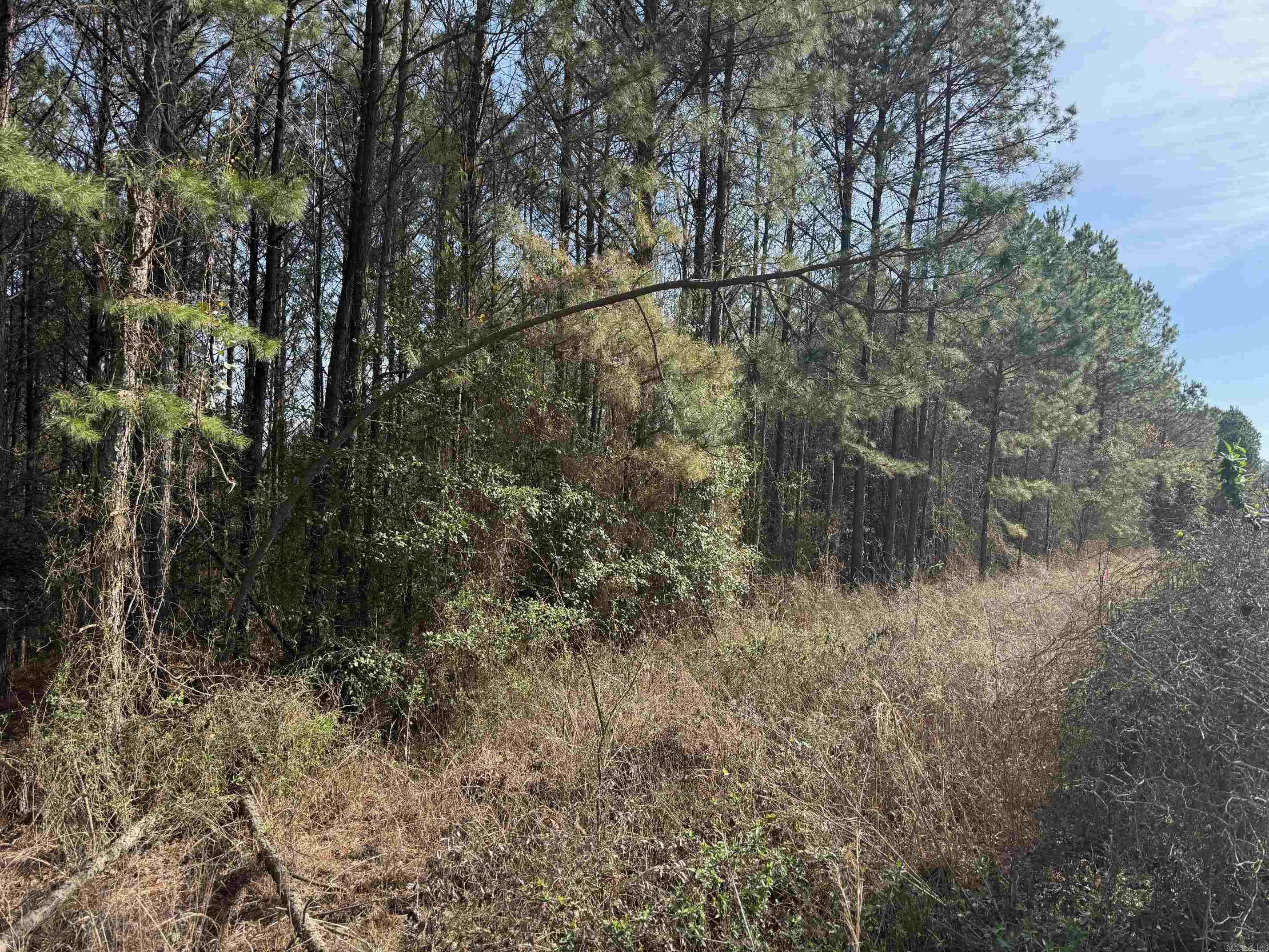 TBD Polk Road 13  Wickes, AR